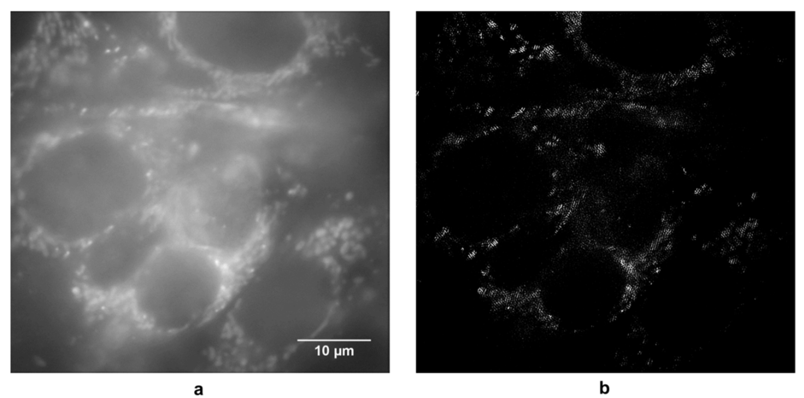 Applsci 09 01188 g007