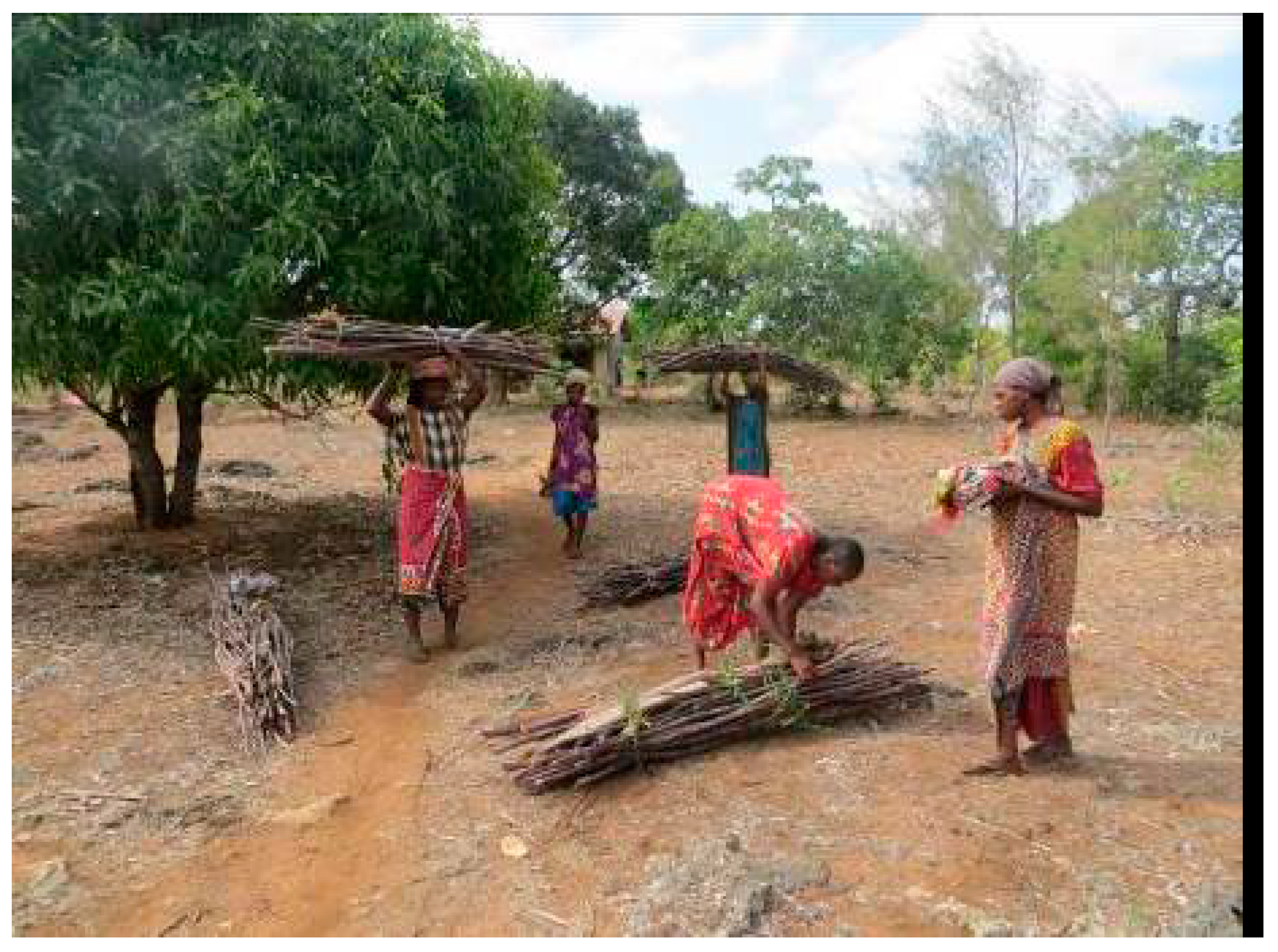 Applsci 09 01205 g005