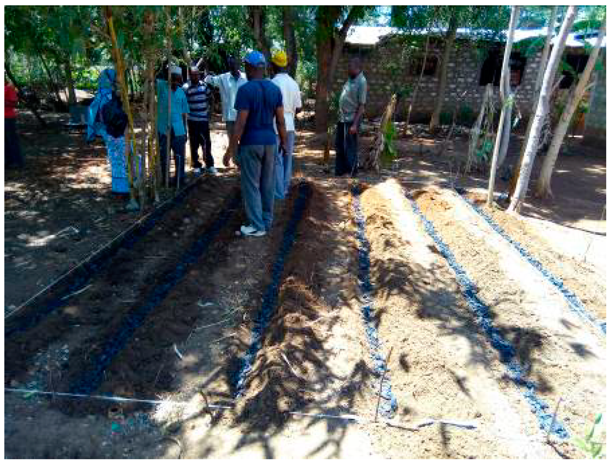 Applsci 09 01205 g007