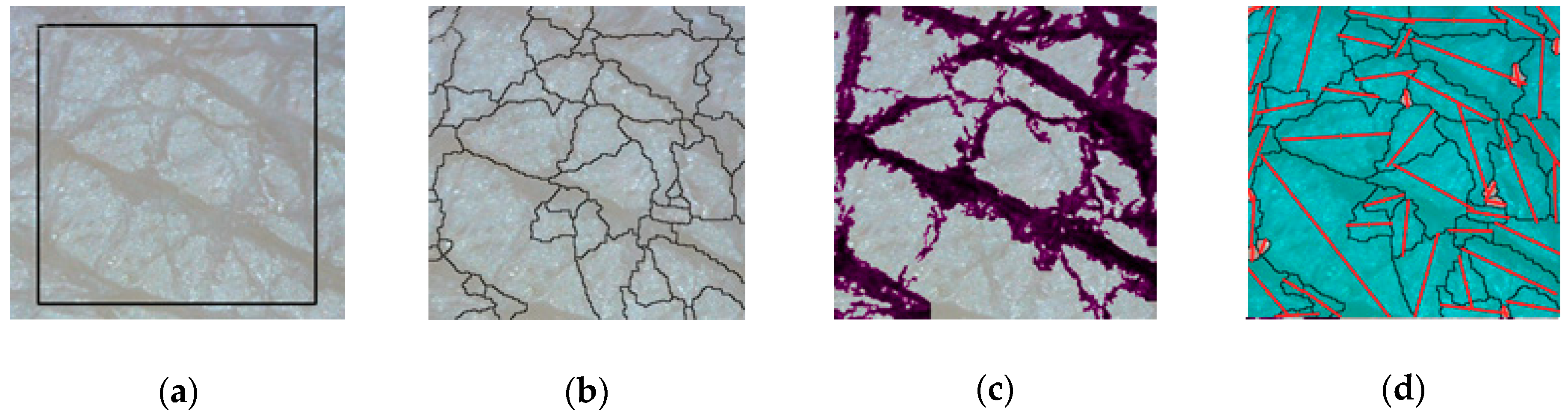 Applsci 09 01228 g002