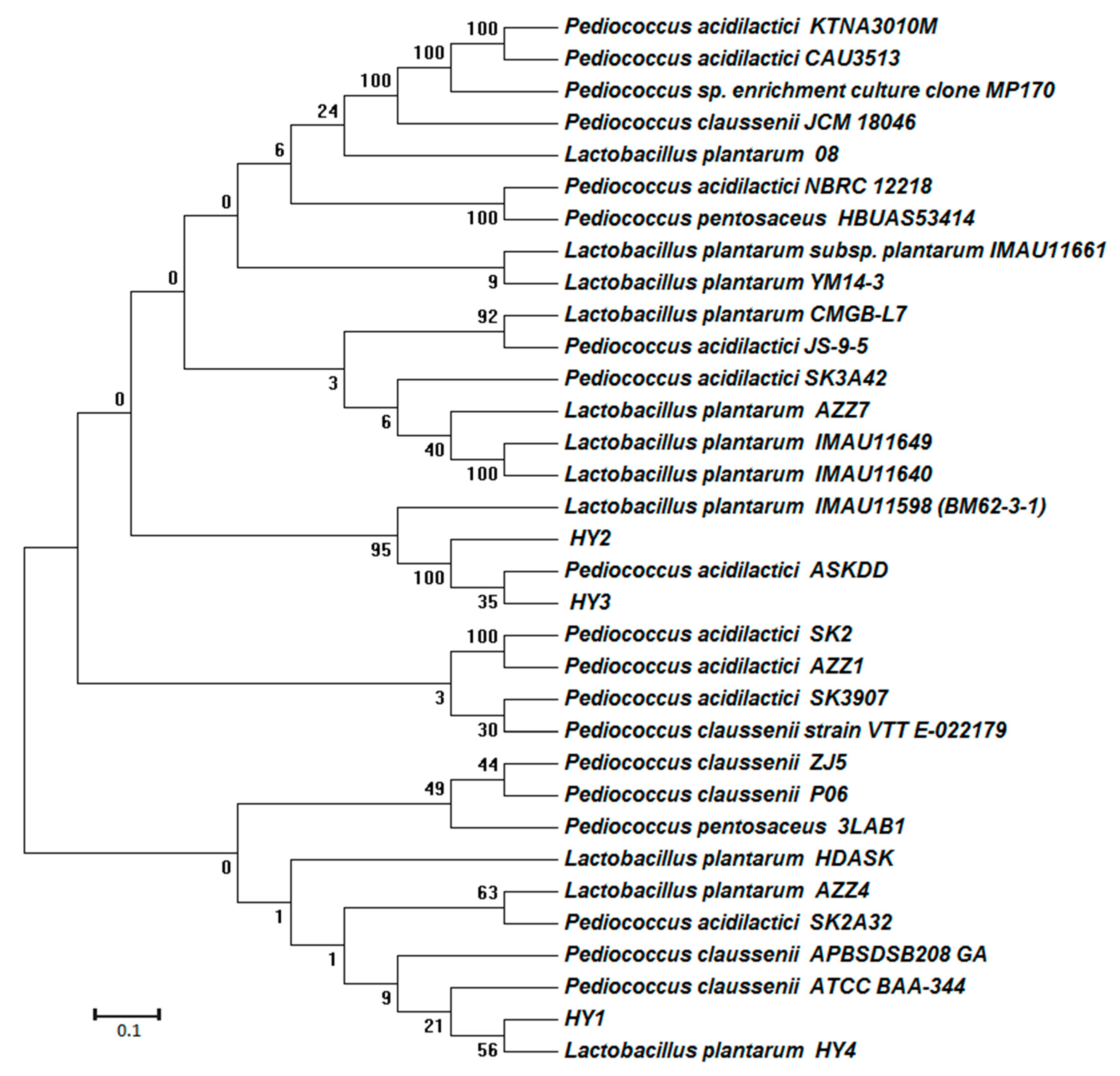Applsci 09 01247 g001