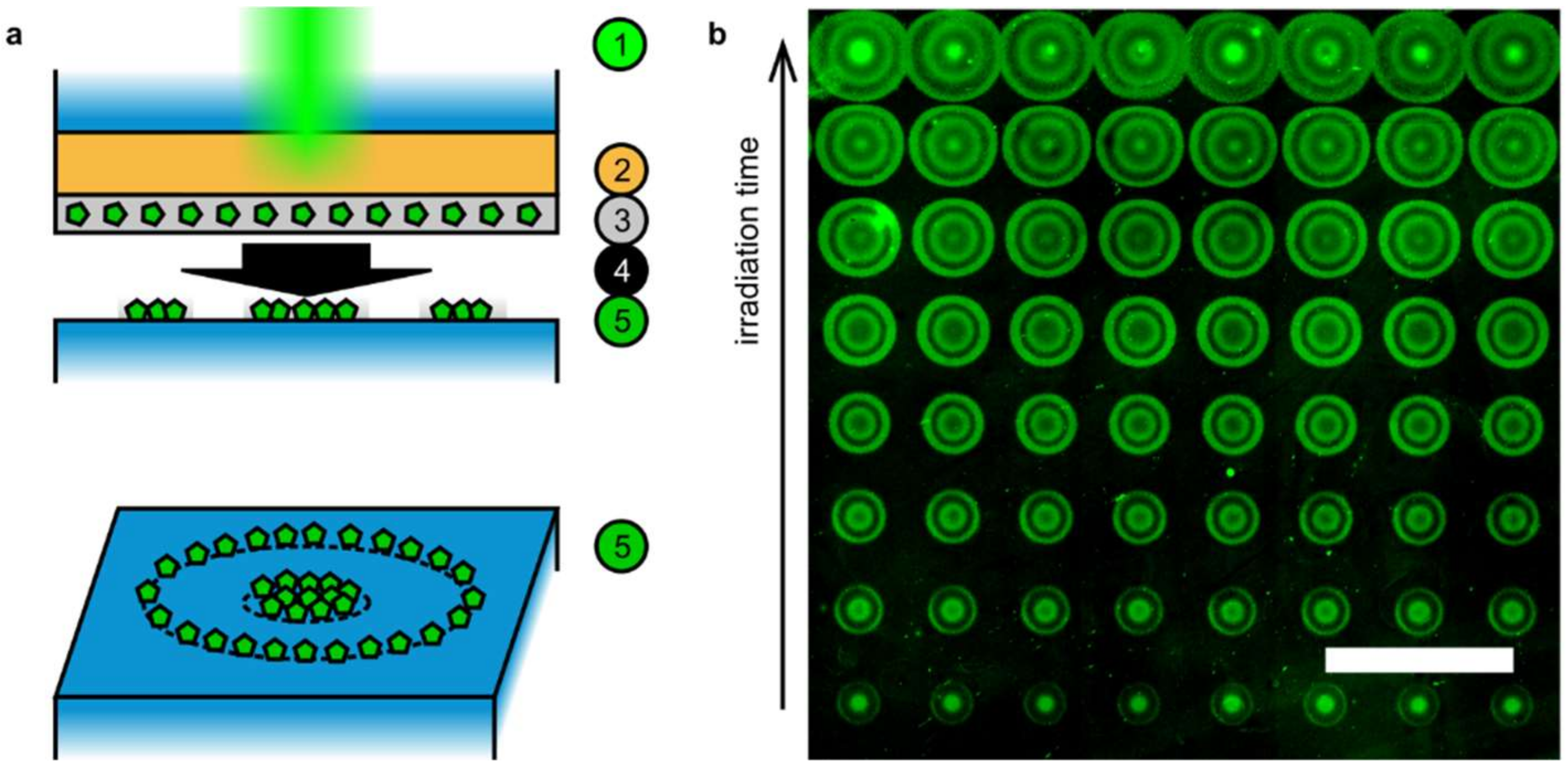 Applsci 09 01303 g001
