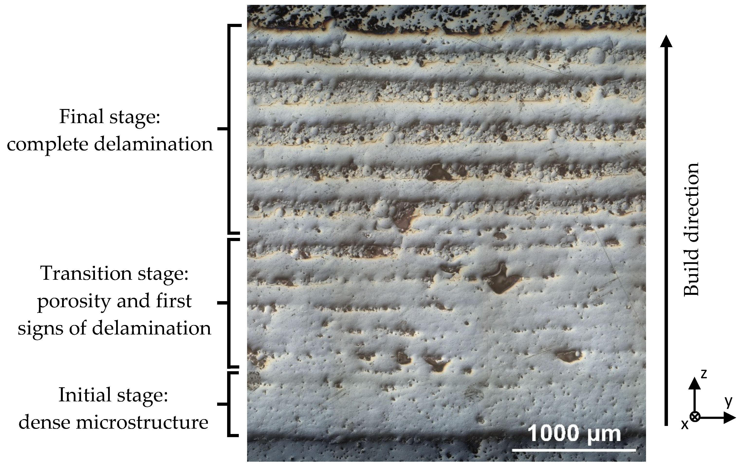 Applsci 09 01308 g012