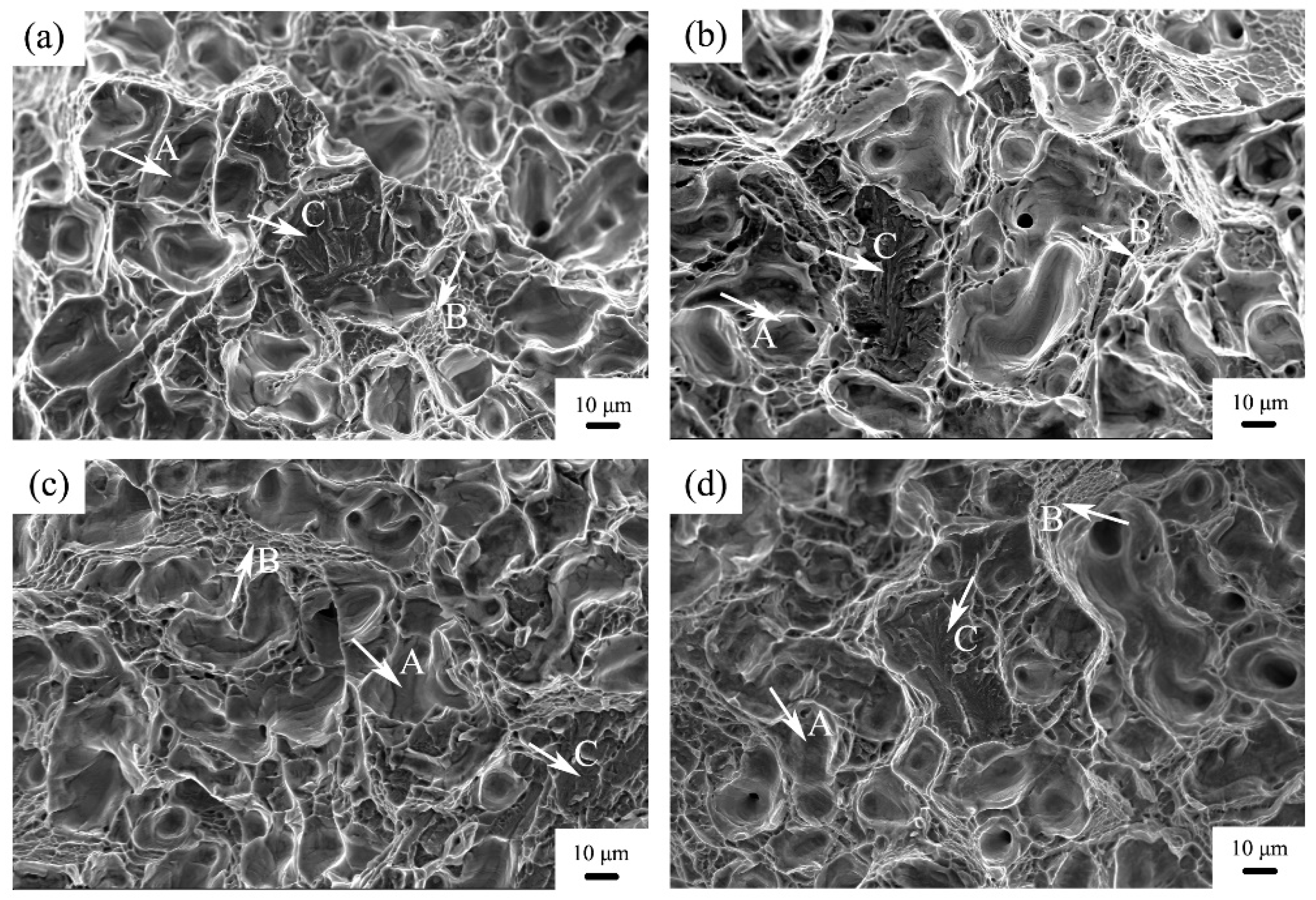 Applsci 09 01339 g008