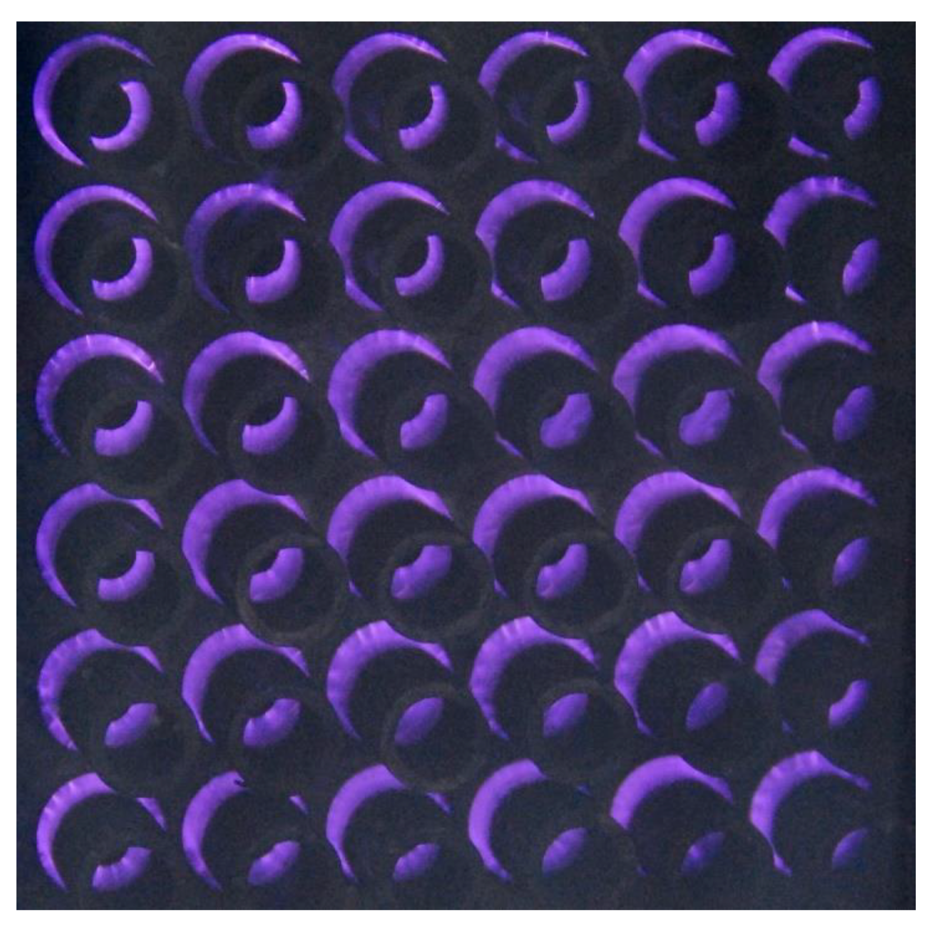 Applsci 09 01451 g013