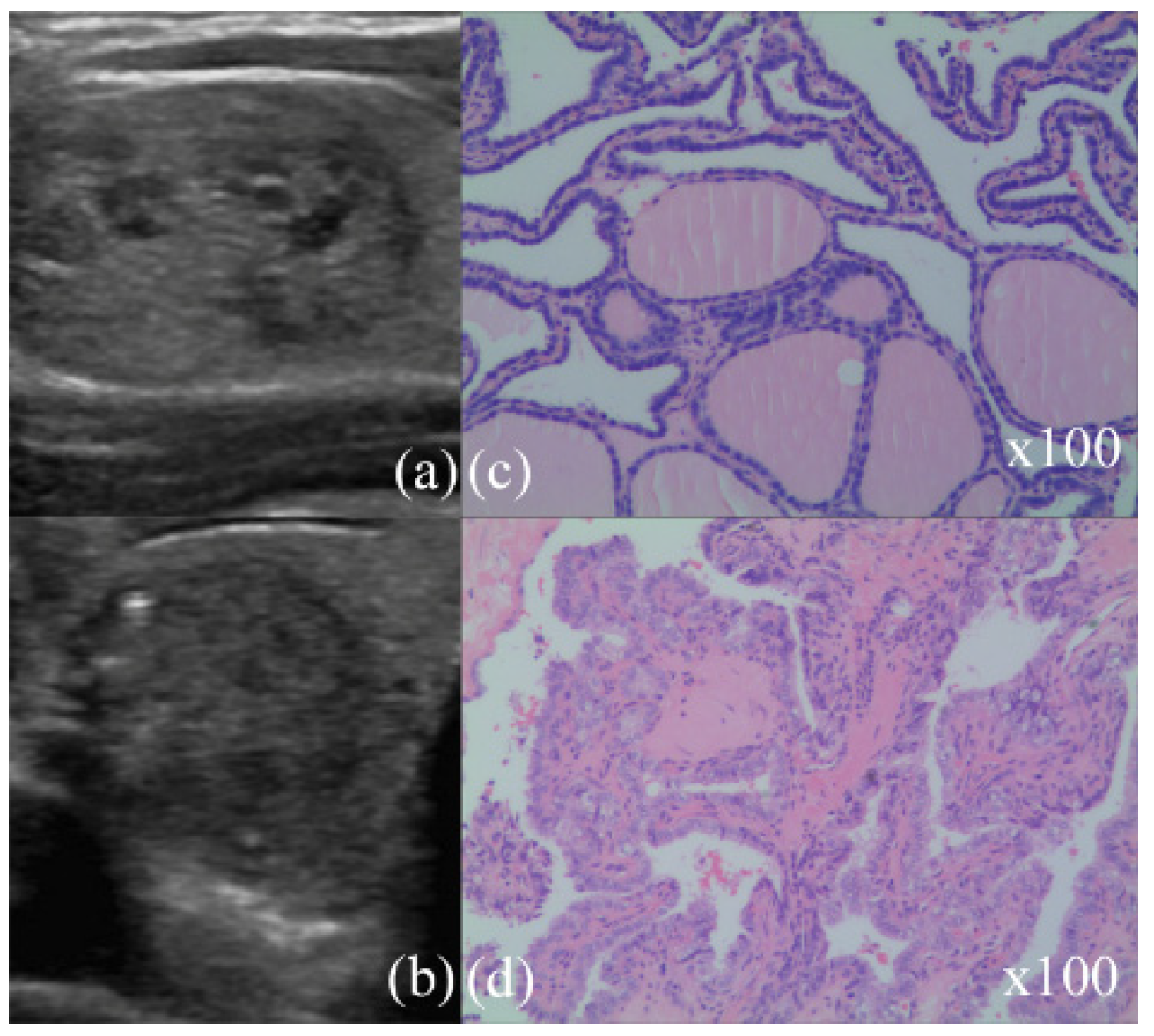 Applsci 09 01494 g002