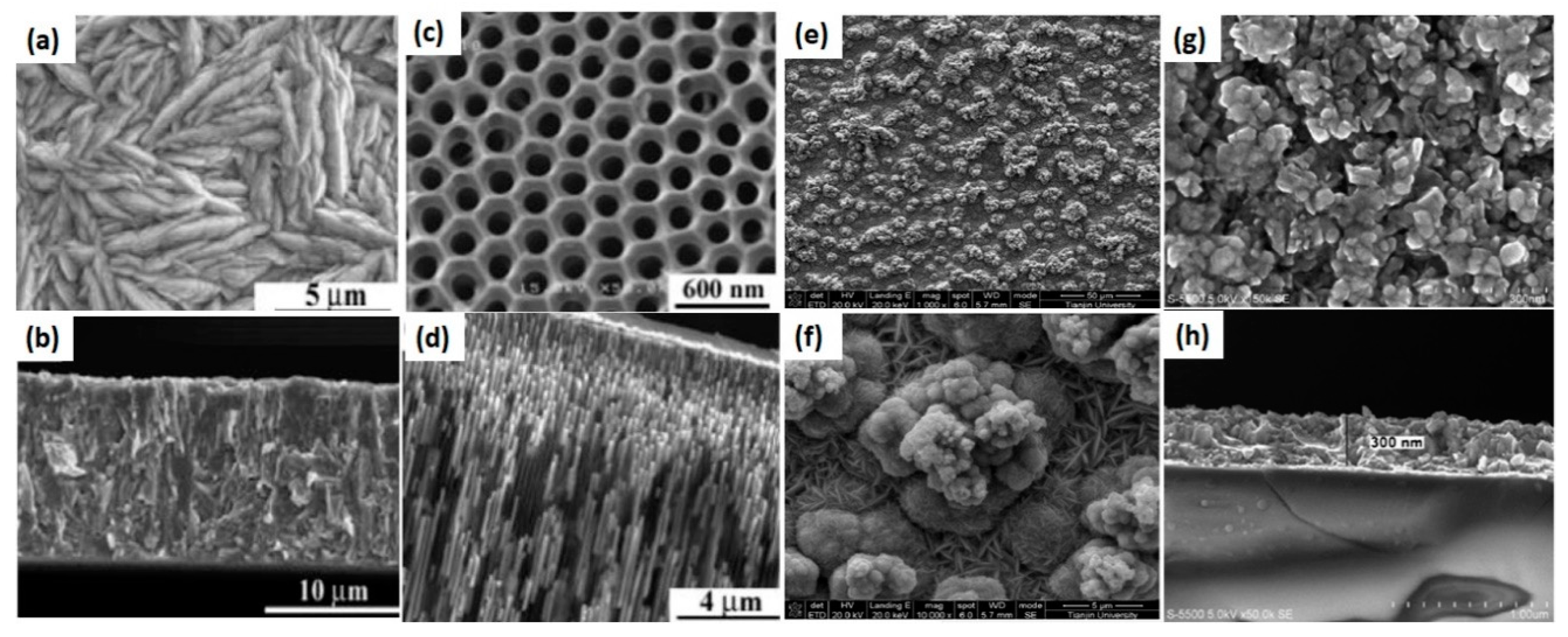 Applsci 09 01511 g007 Applsci 09 01511 g007