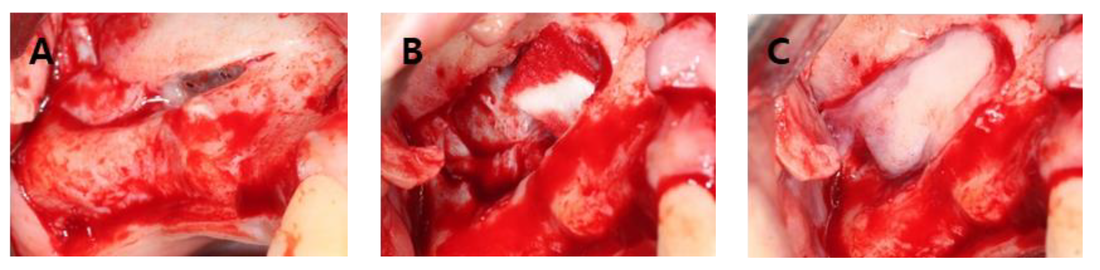 Applsci 09 01514 g001