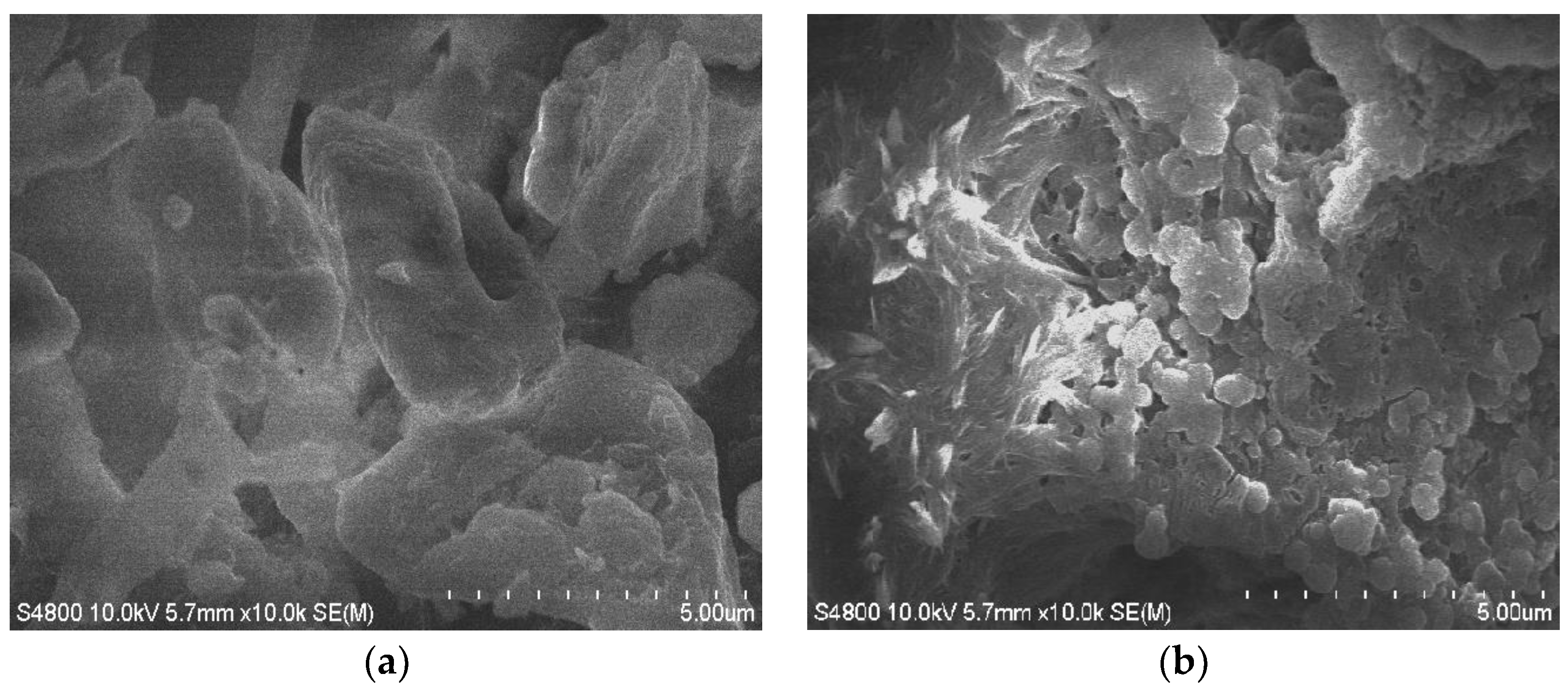 Applsci 09 01518 g006