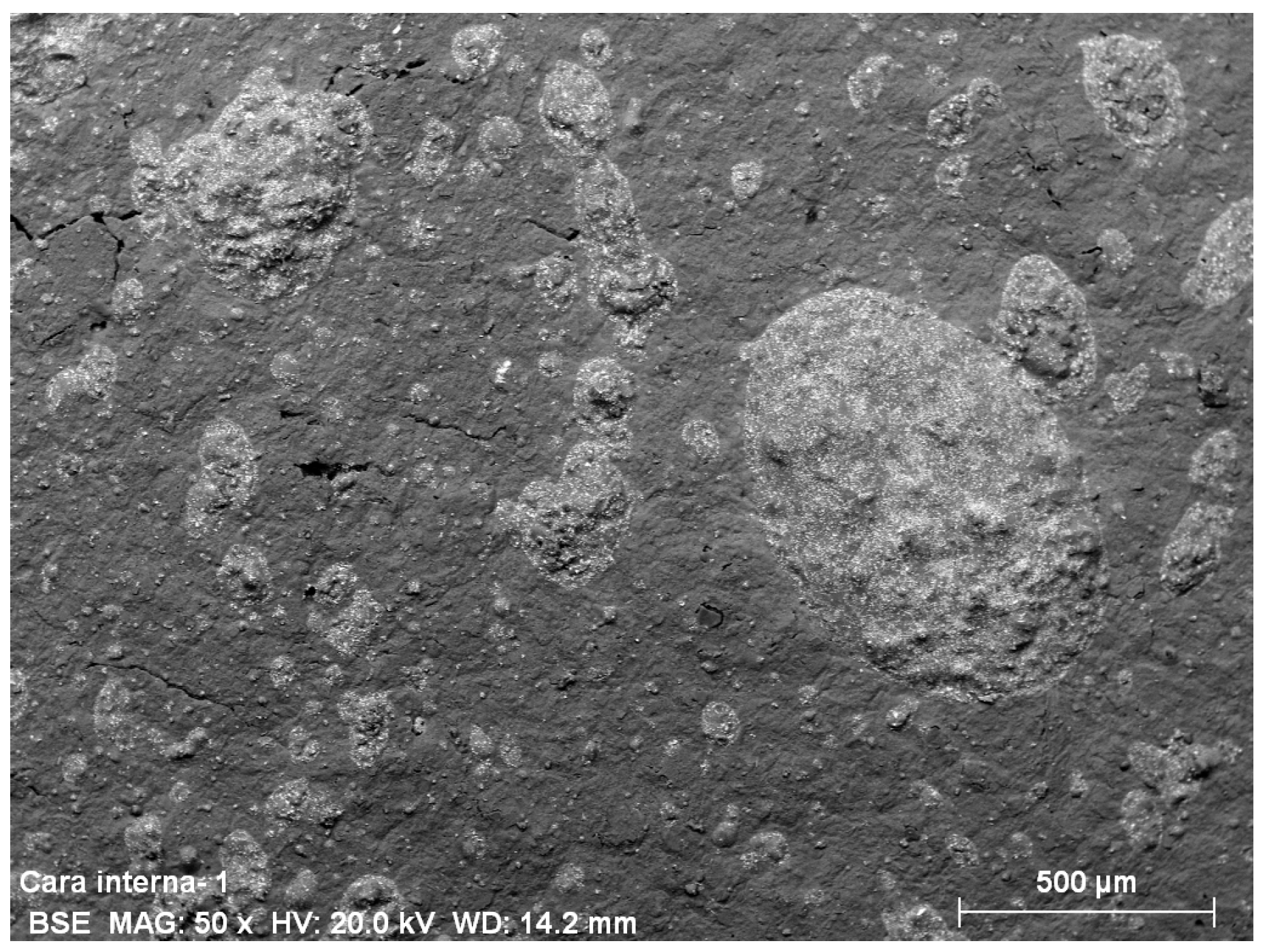 Applsci 09 01521 g015