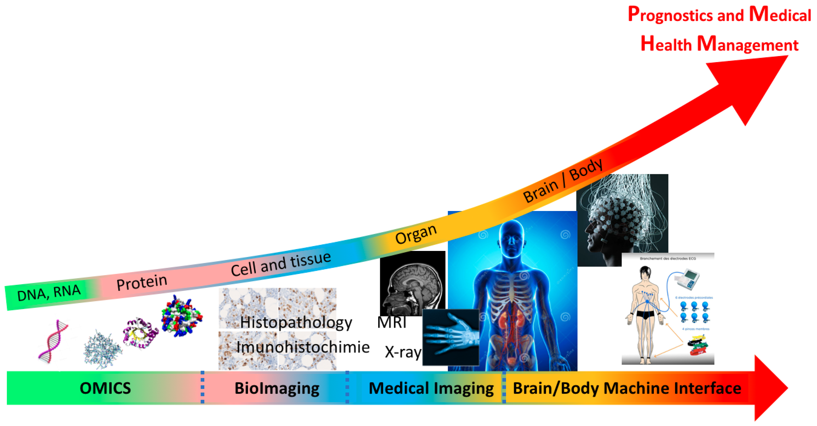 Applsci 09 01526 g002