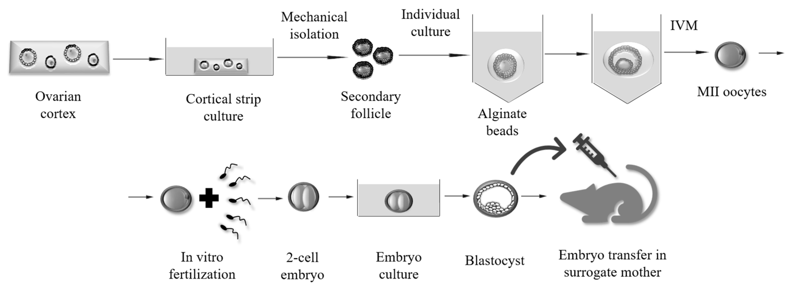 Applsci 09 01536 g003
