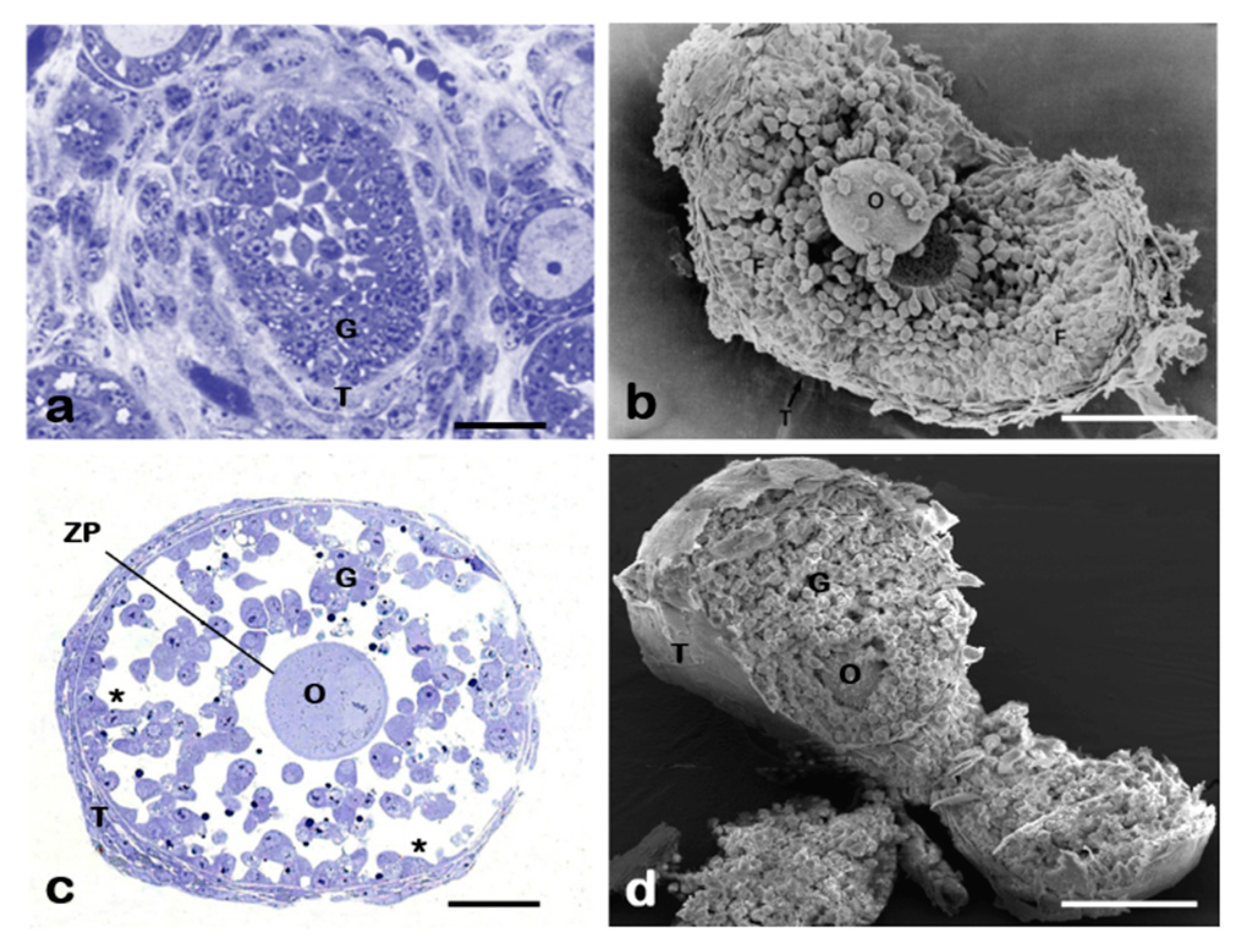 Applsci 09 01536 g004
