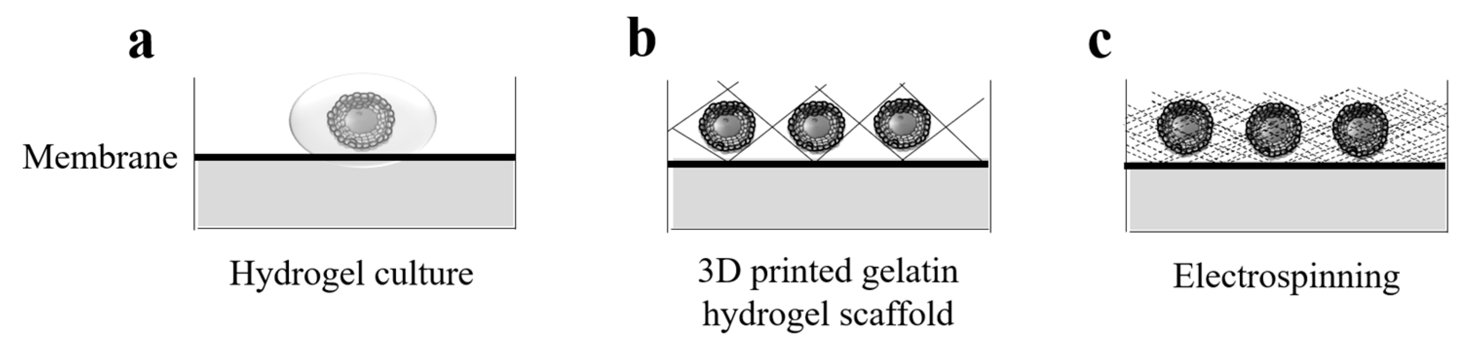 Applsci 09 01536 g005