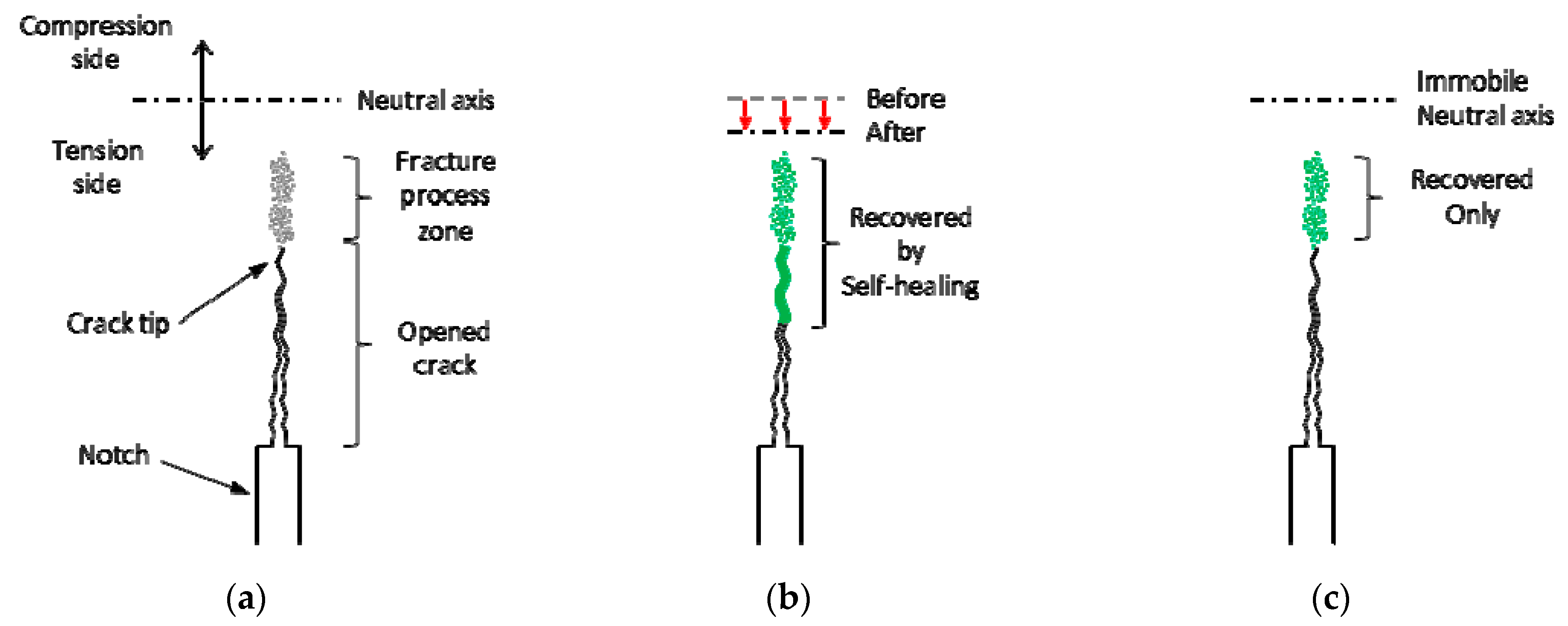 Applsci 09 01537 g020