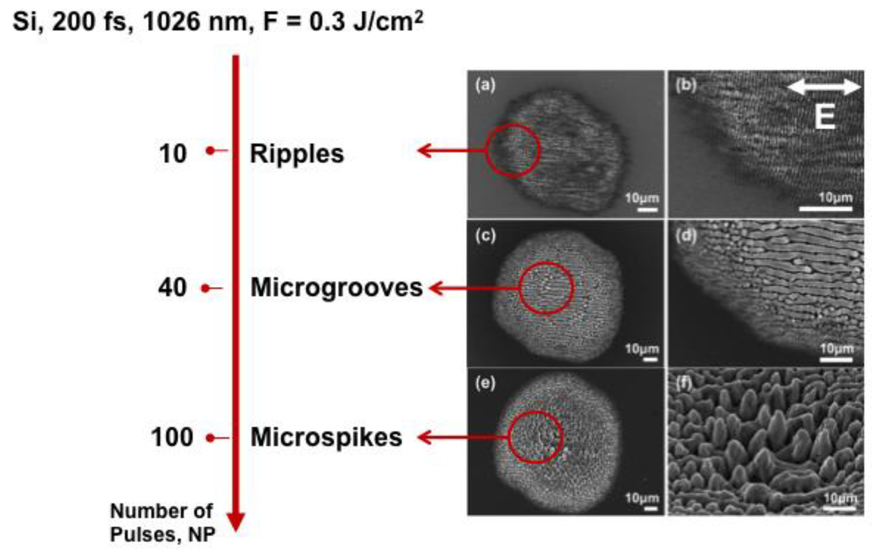 Applsci 09 01554 g003