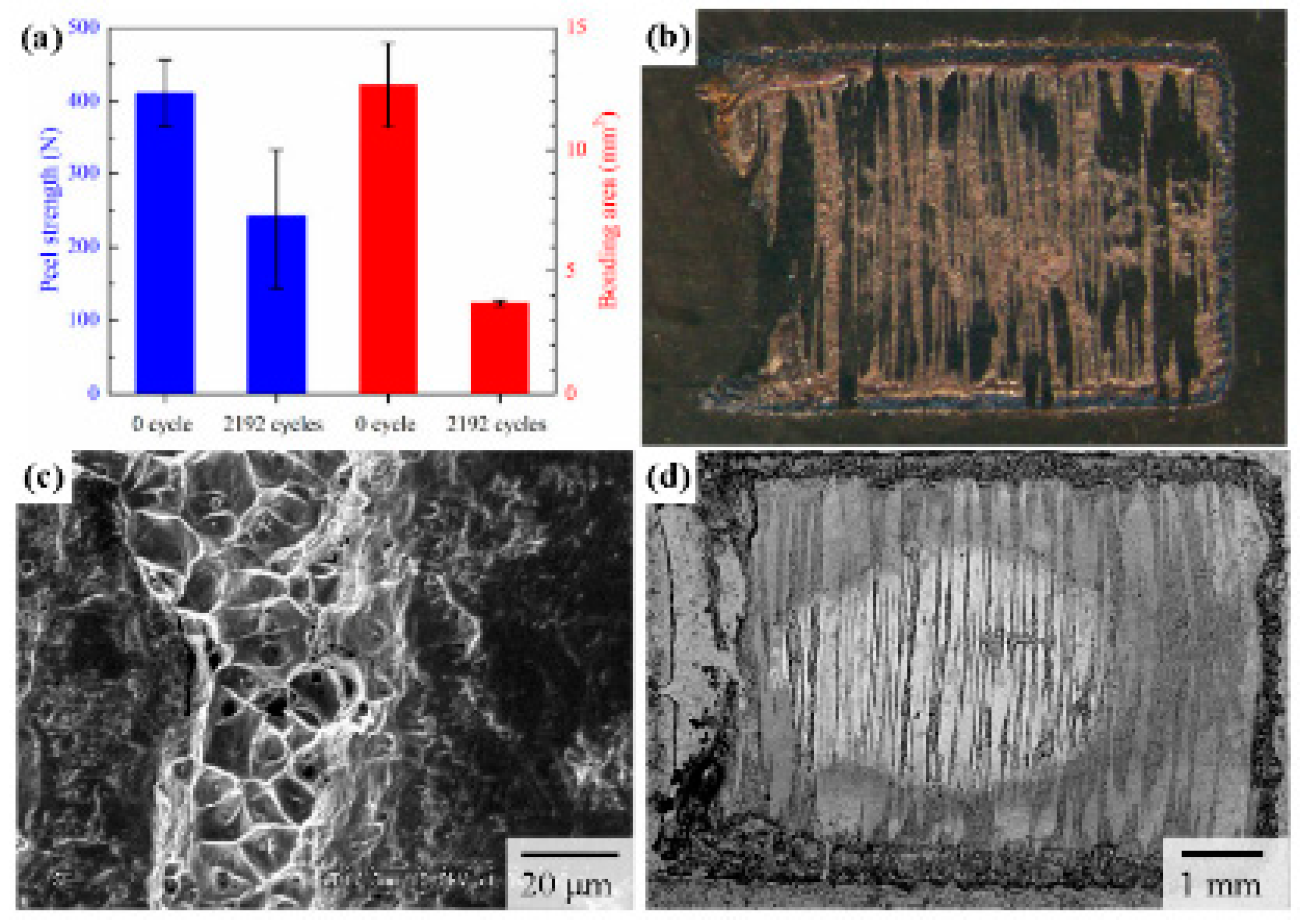 Applsci 09 01556 g004