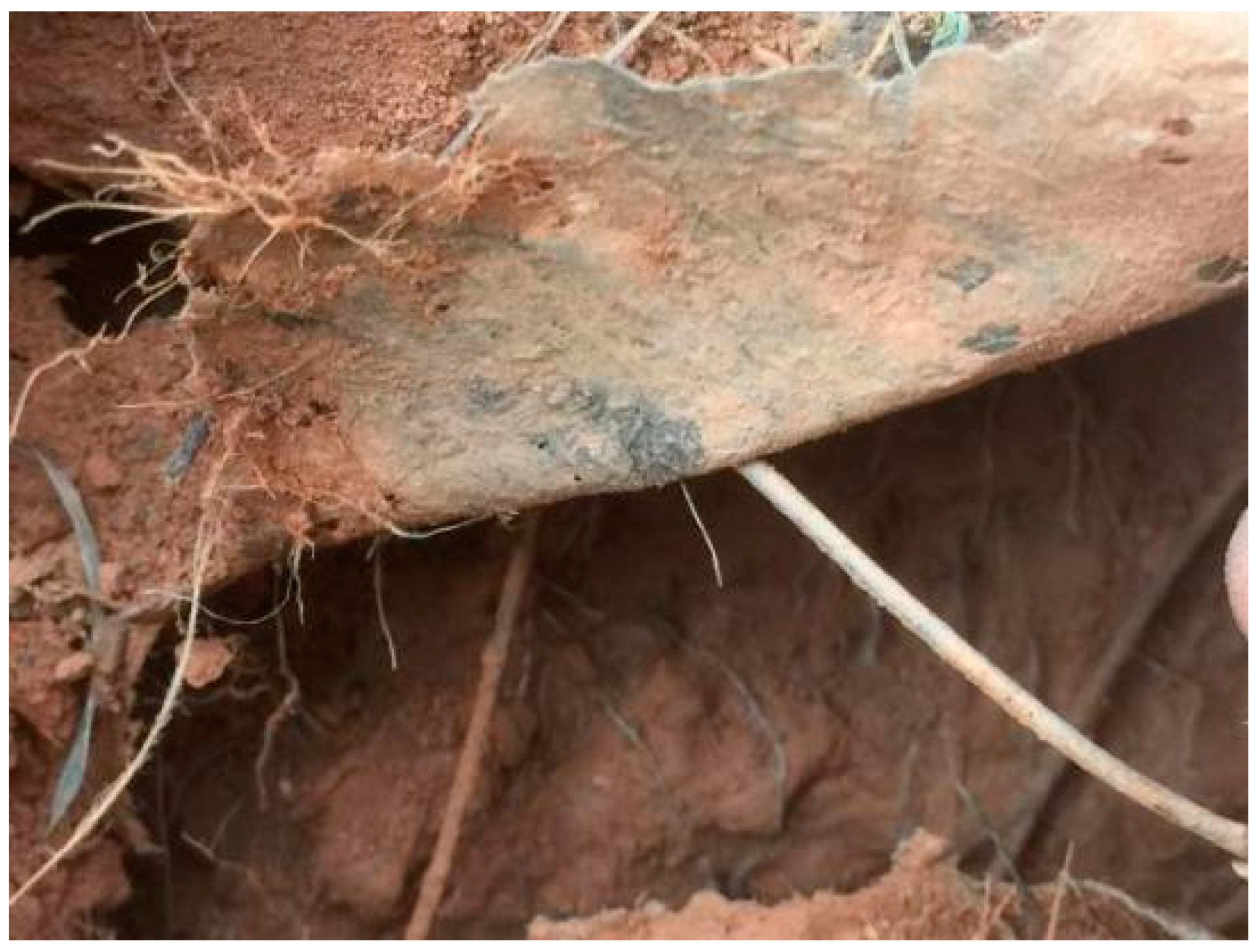 Applsci 09 01585 g014