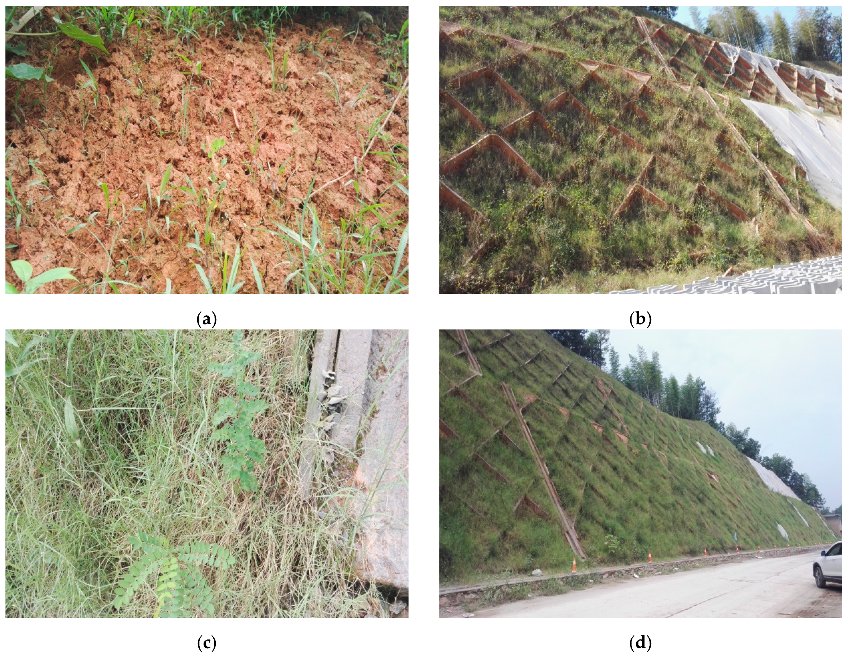 Applsci 09 01585 g016