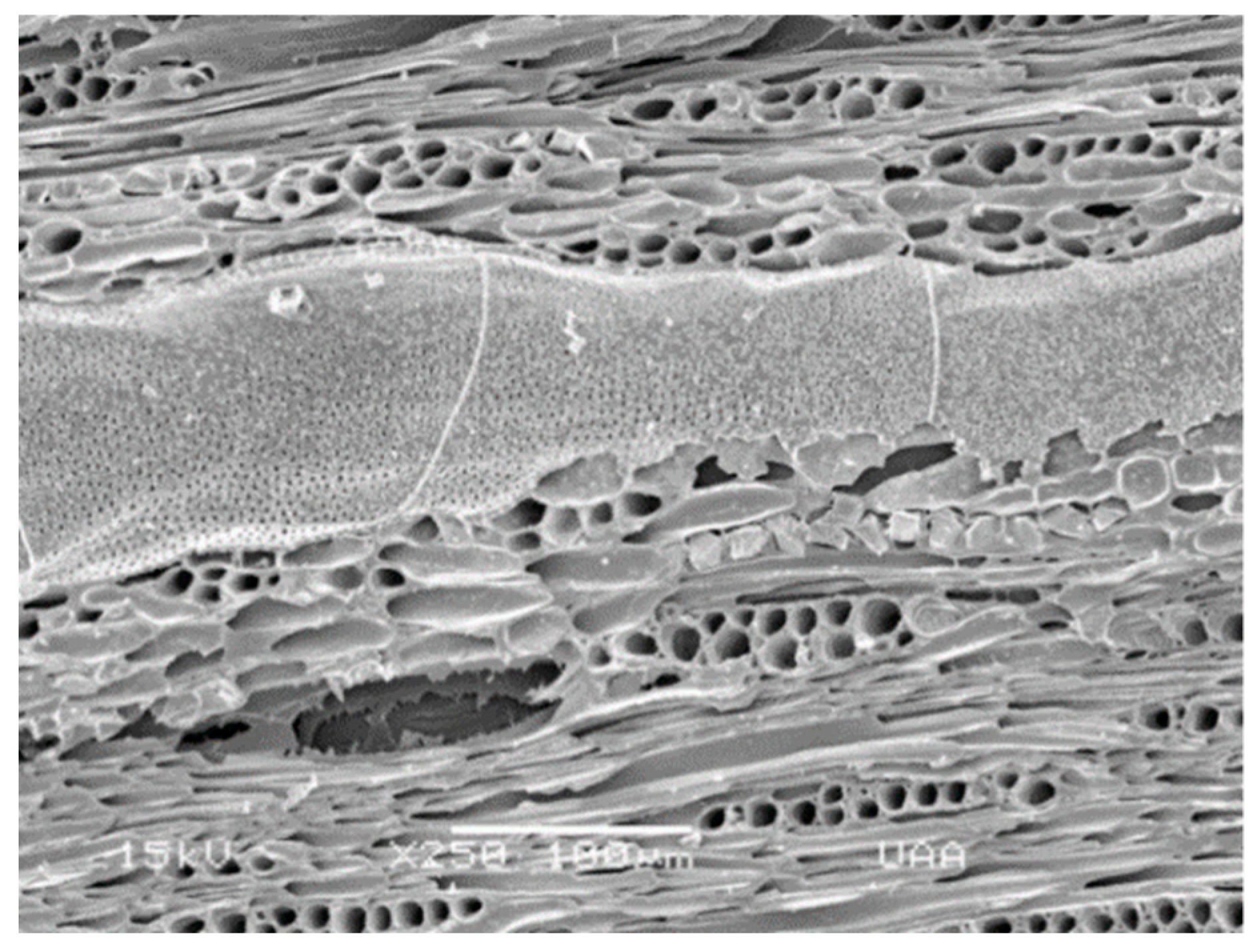 Applsci 09 01706 g002 Applsci 09 01706 g002