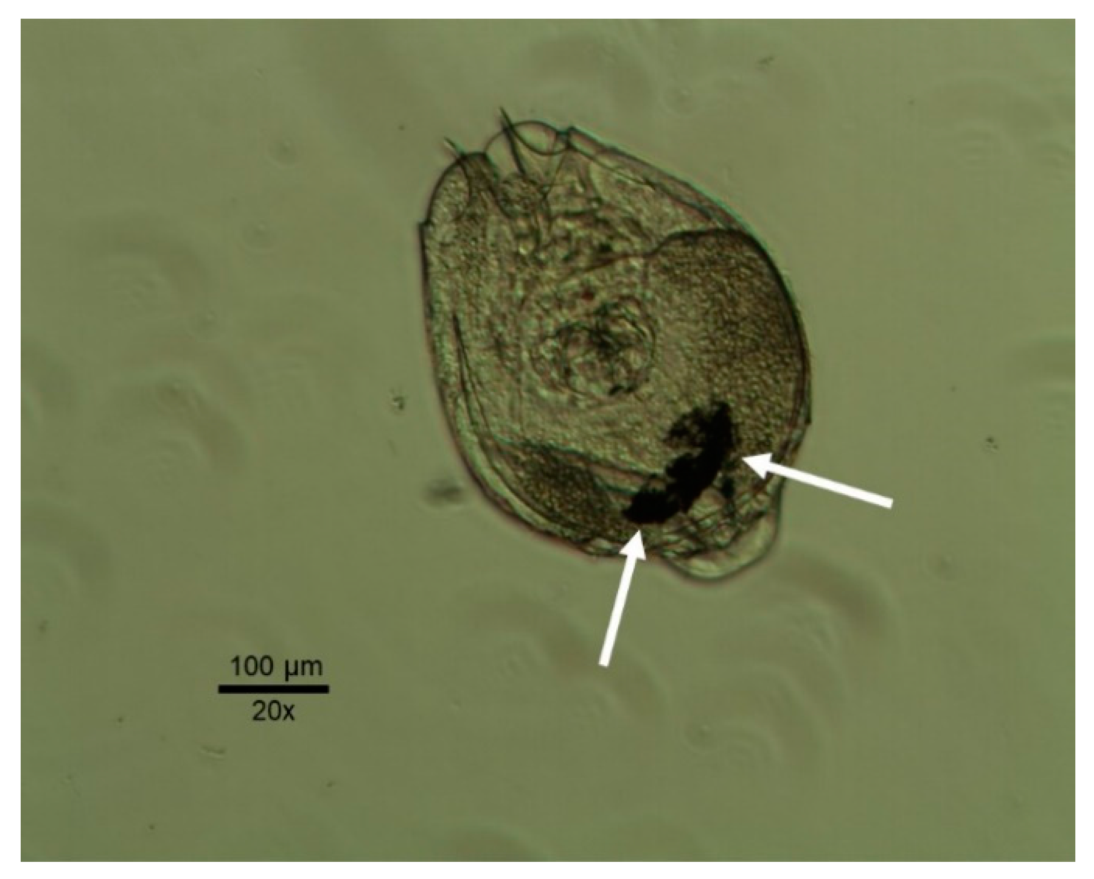 Applsci 09 01706 g003 Applsci 09 01706 g003