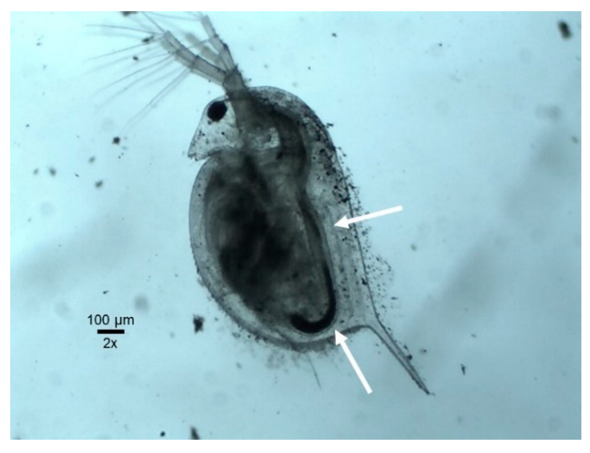 Applsci 09 01706 g004 Applsci 09 01706 g004