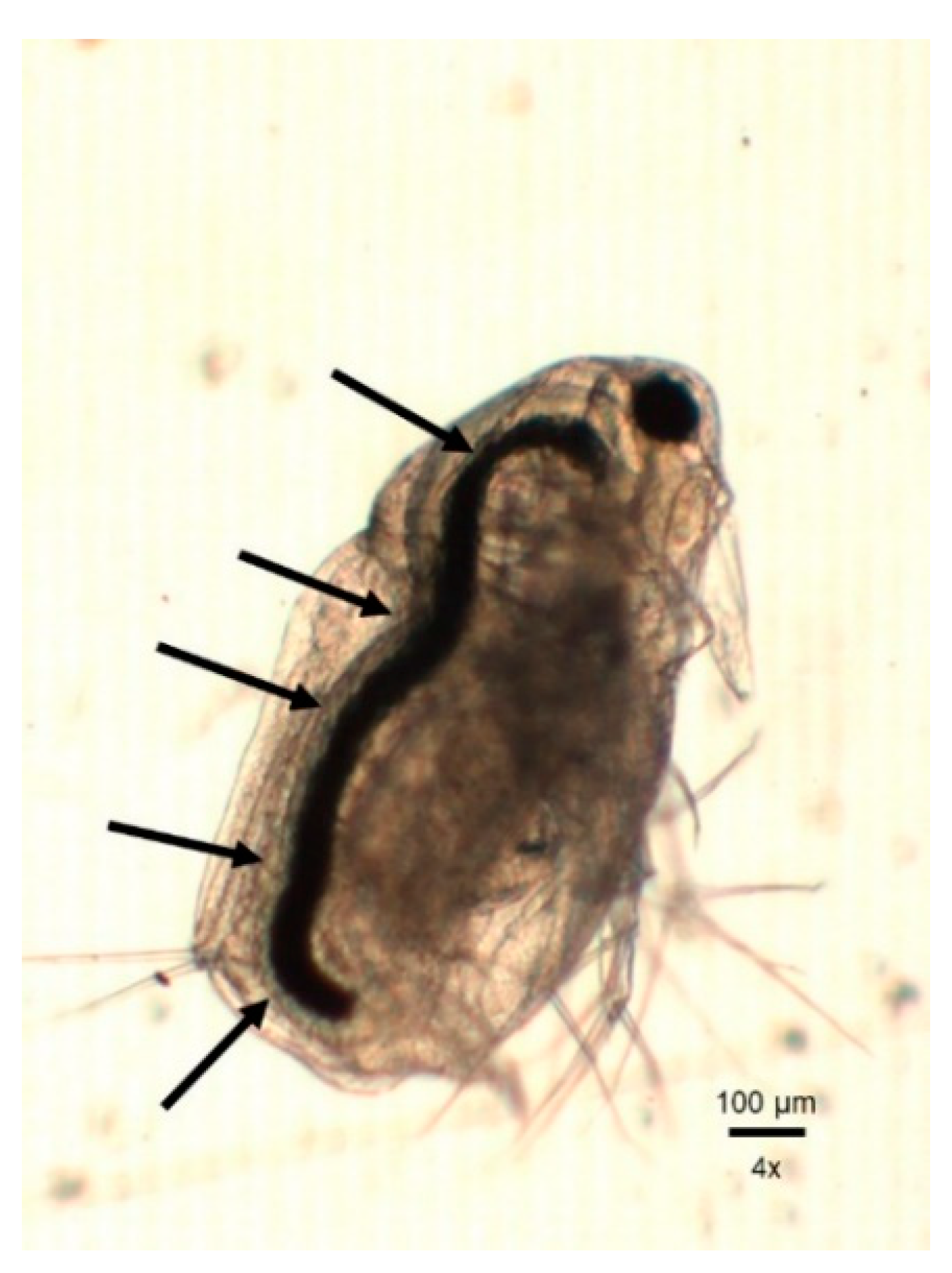 Applsci 09 01706 g005 Applsci 09 01706 g005