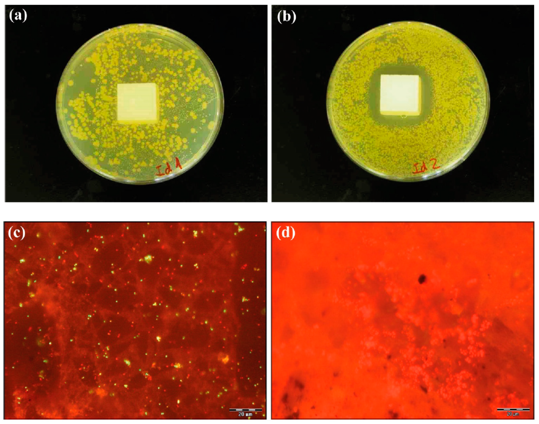 Applsci 09 01717 g001