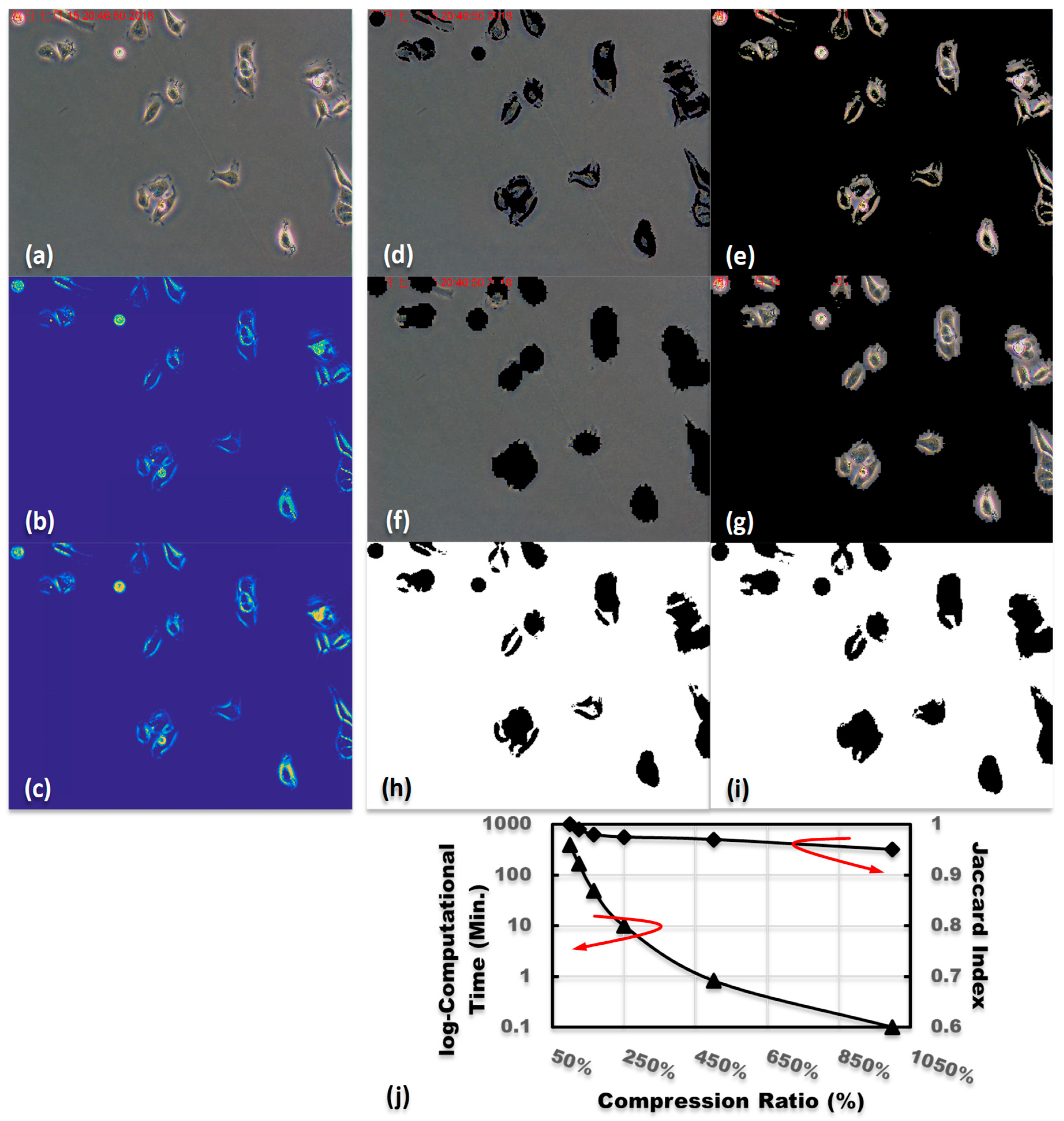 Applsci 09 01718 g003 Applsci 09 01718 g003