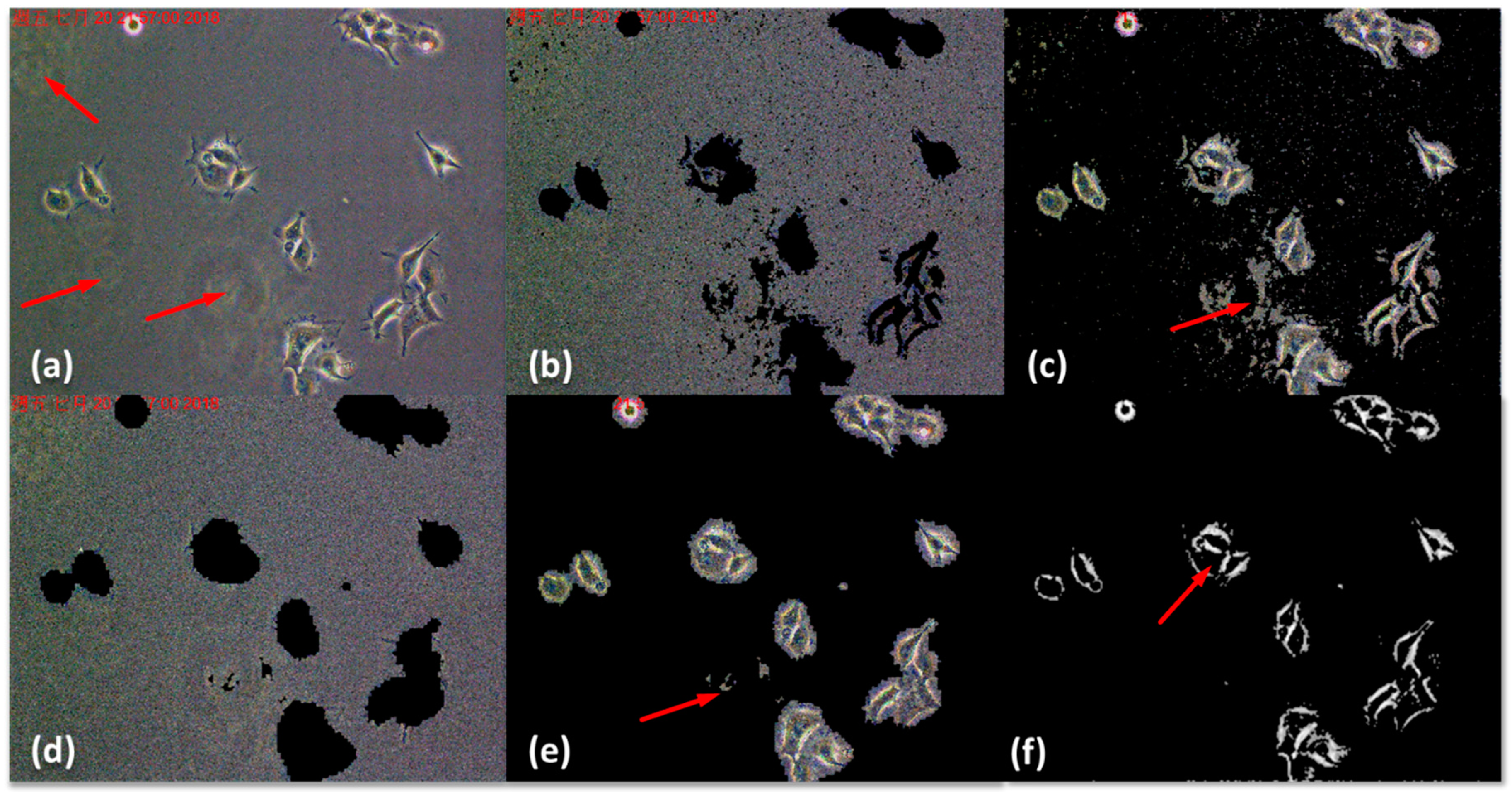 Applsci 09 01718 g004 Applsci 09 01718 g004