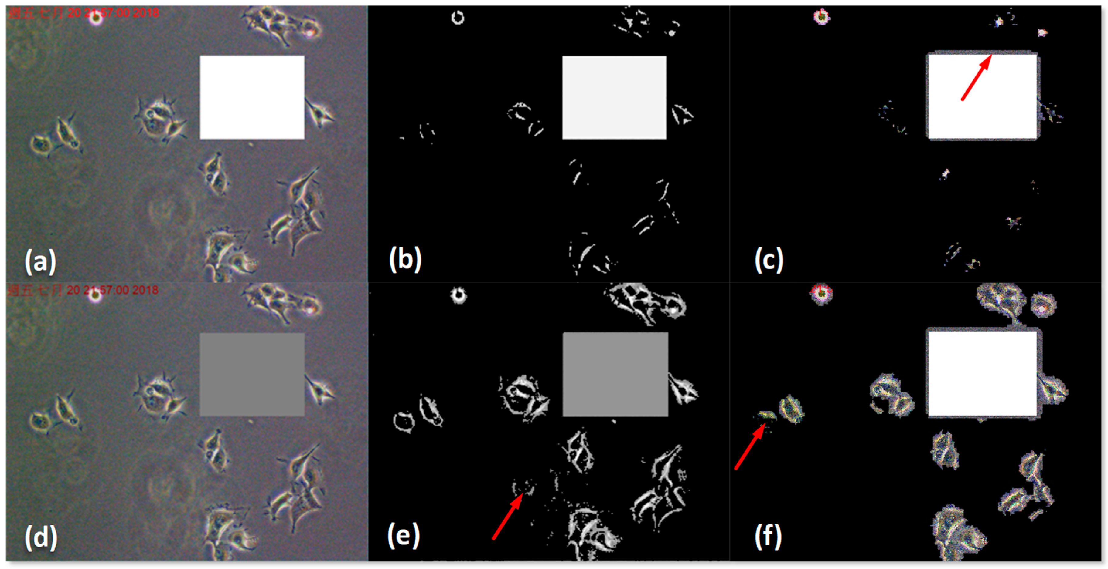 Applsci 09 01718 g005 Applsci 09 01718 g005