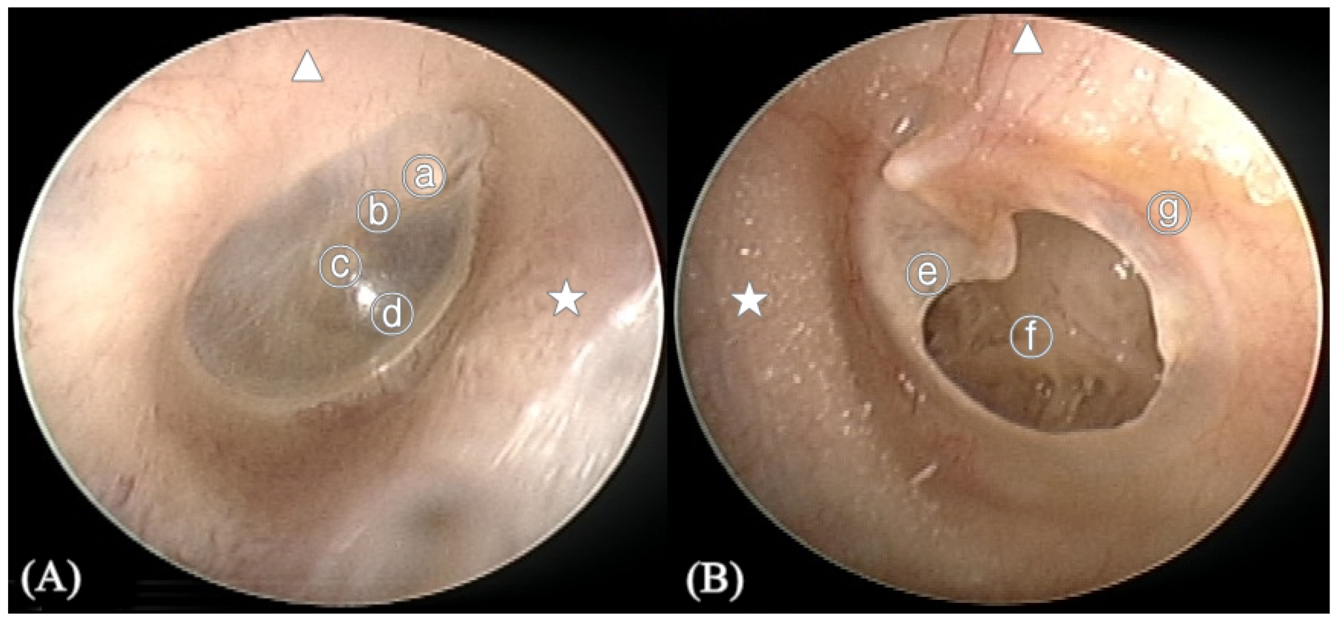 Applsci 09 01827 g002