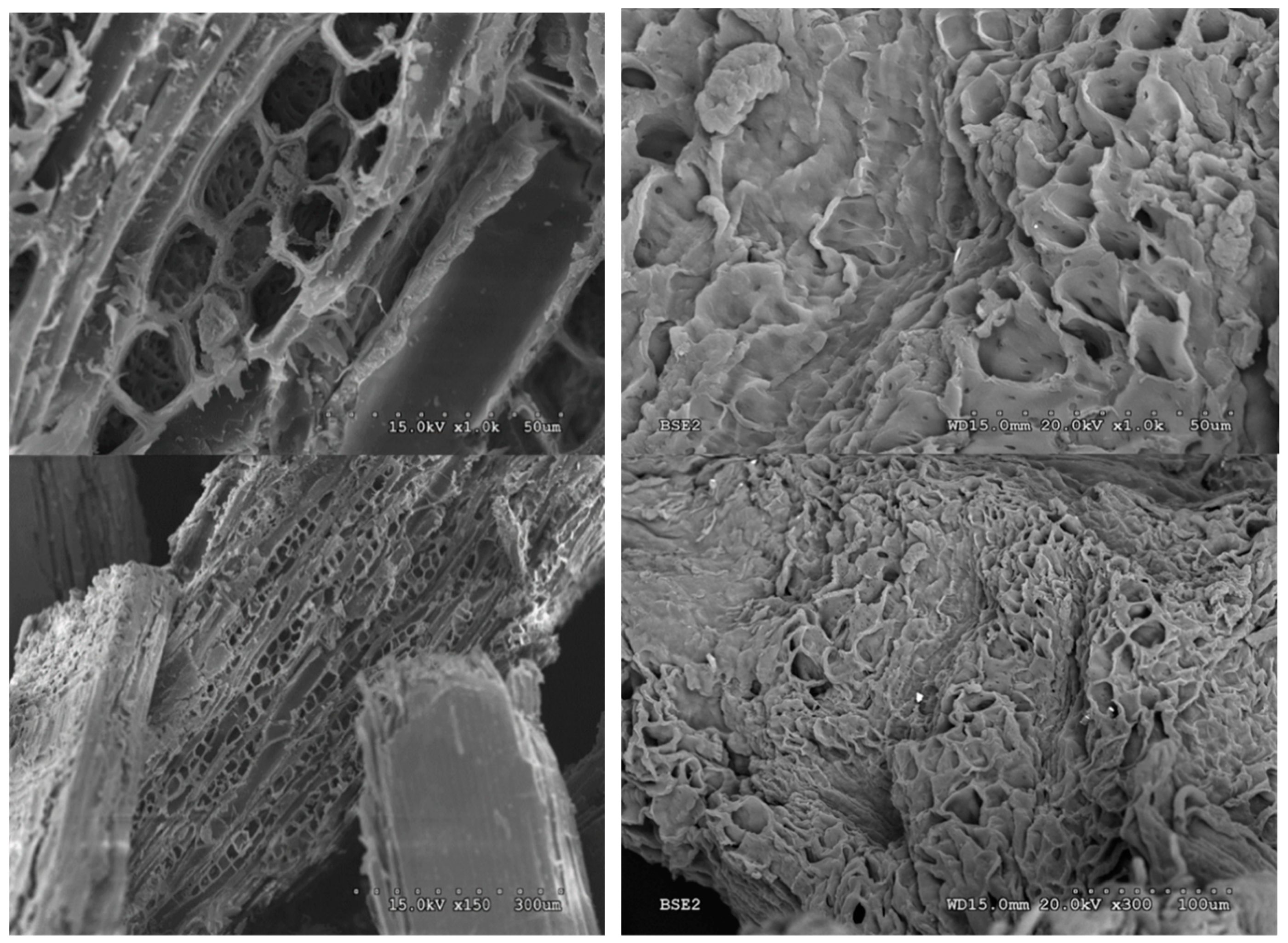 Applsci 09 01862 g011 Applsci 09 01862 g011