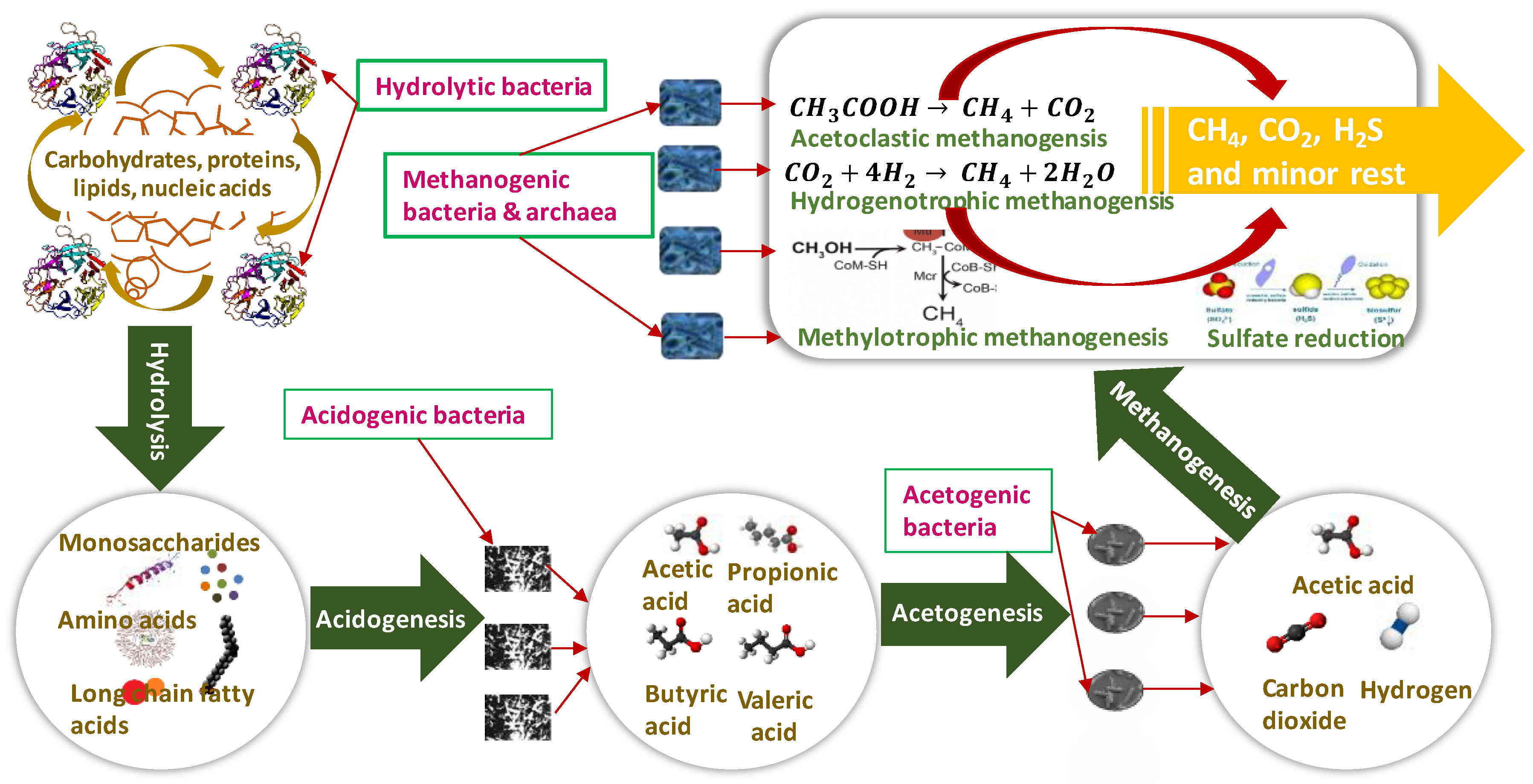 Applsci 09 01915 g002