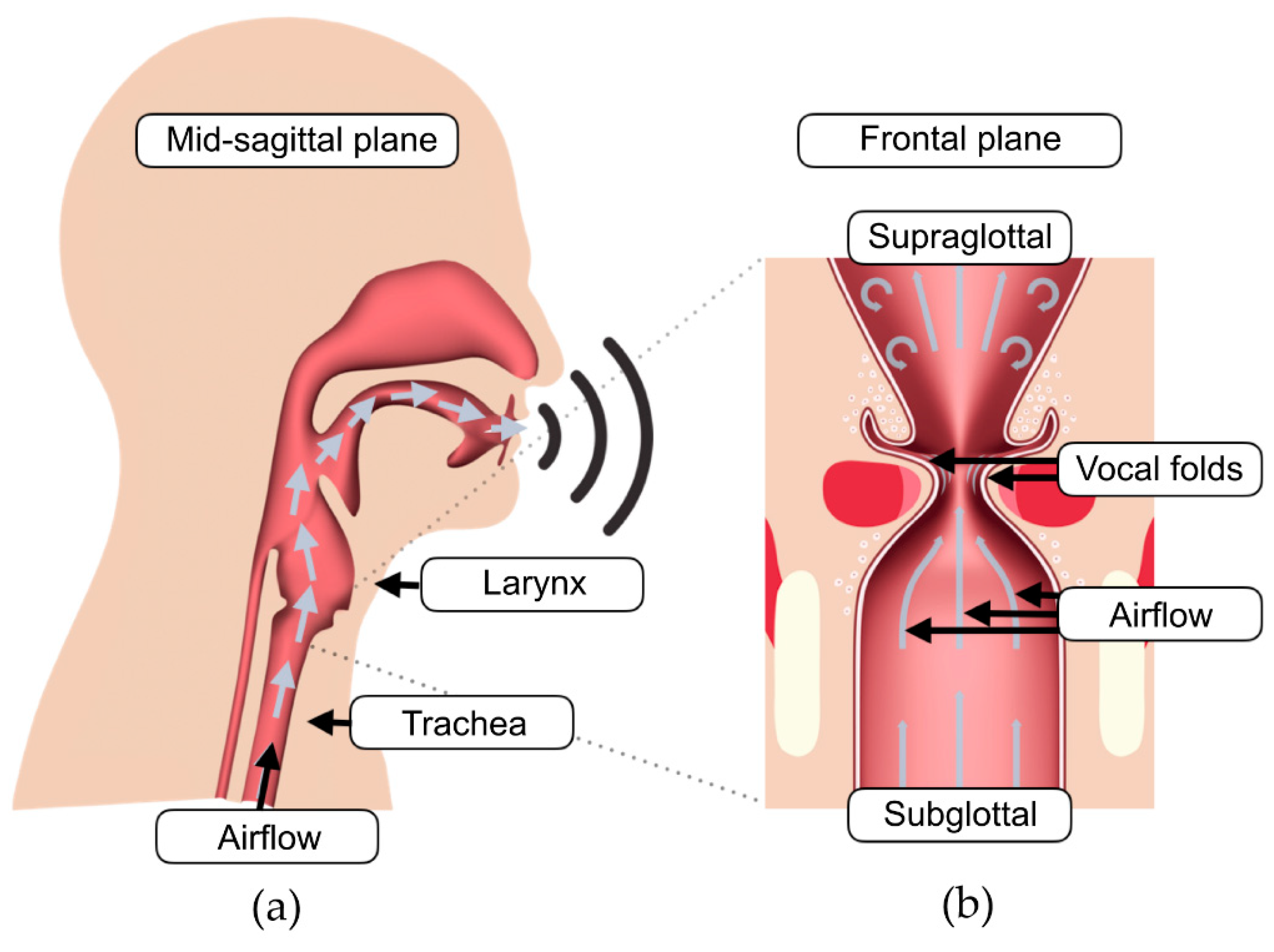 Applsci 09 01963 g001 Applsci 09 01963 g001