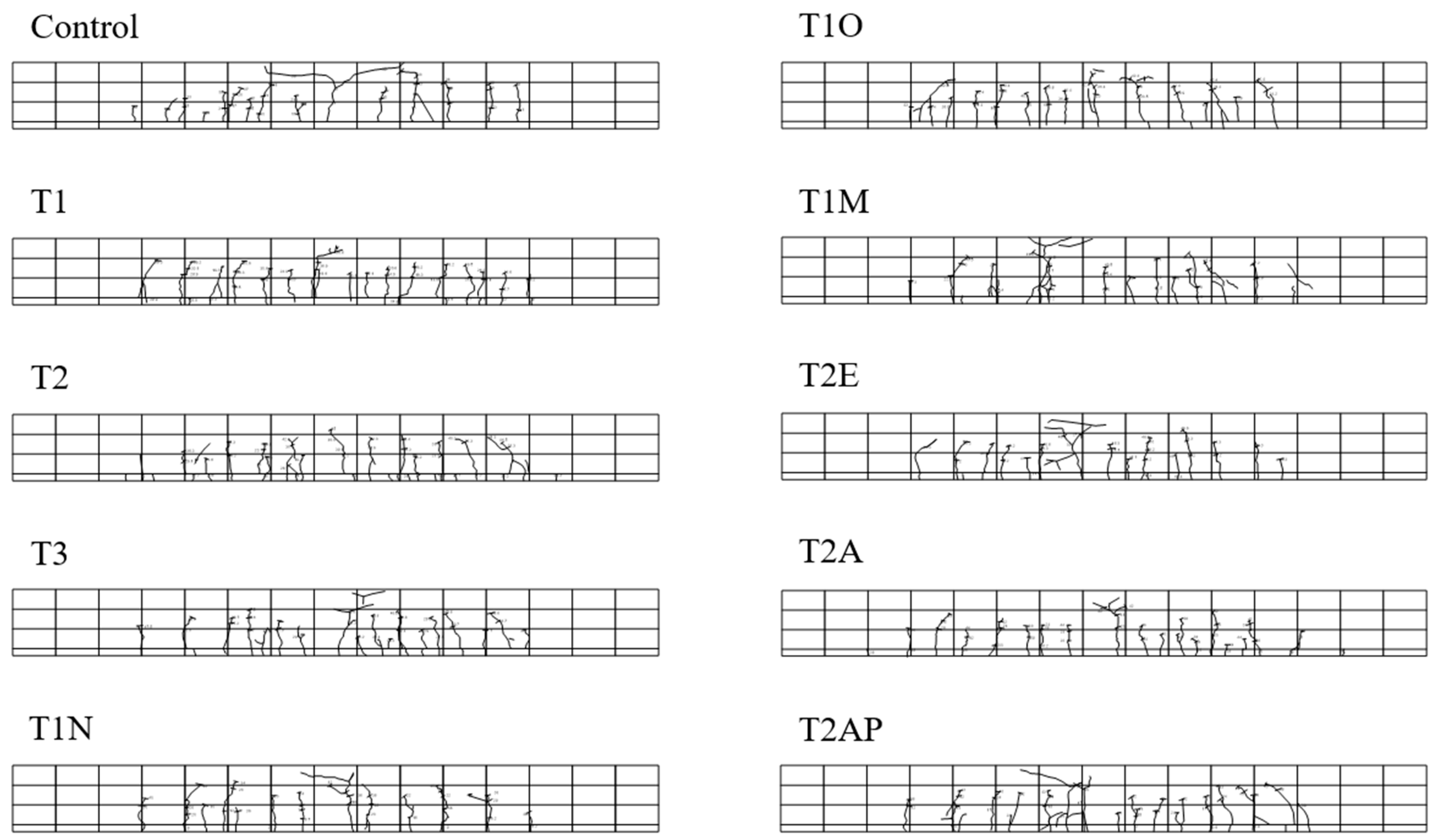 Applsci 09 01981 g005