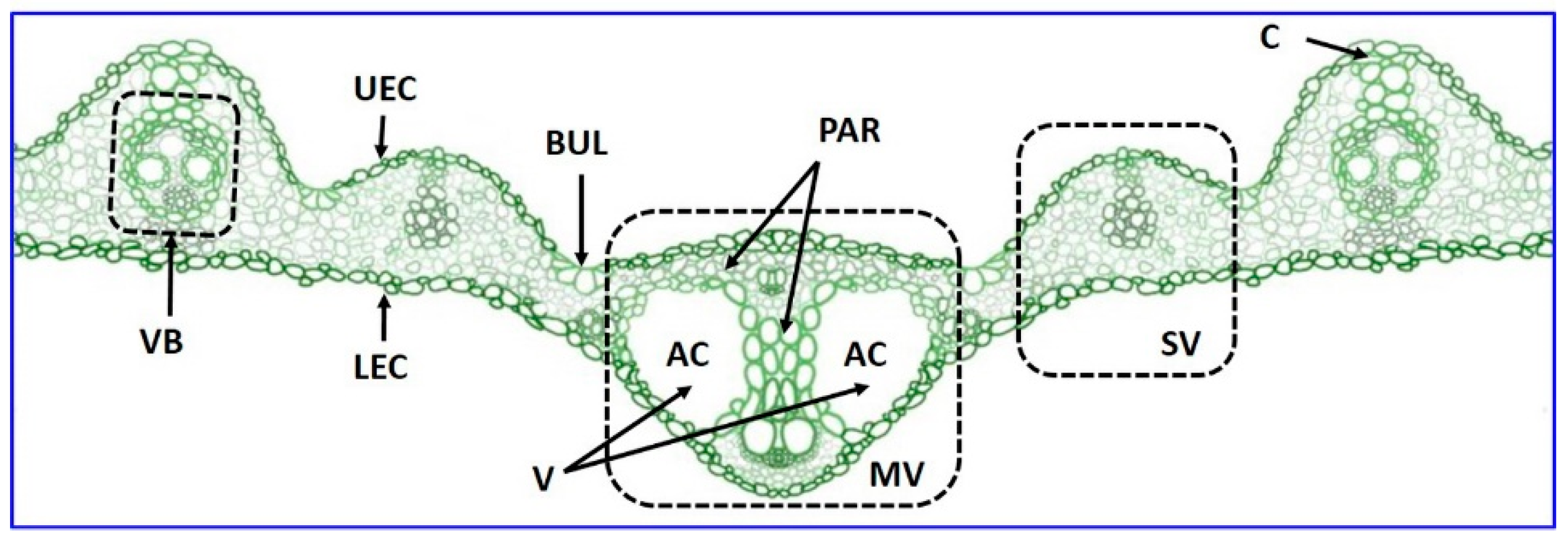 Applsci 09 02104 g001 Applsci 09 02104 g001