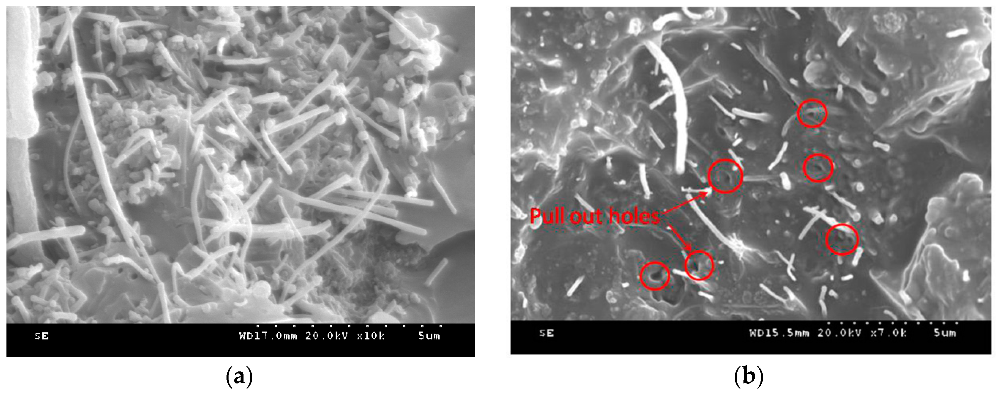 Applsci 09 02128 g013 Applsci 09 02128 g013