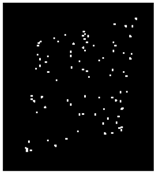 Applsci 09 02130 i002