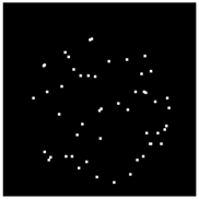 Applsci 09 02130 i004