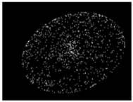 Applsci 09 02130 i005