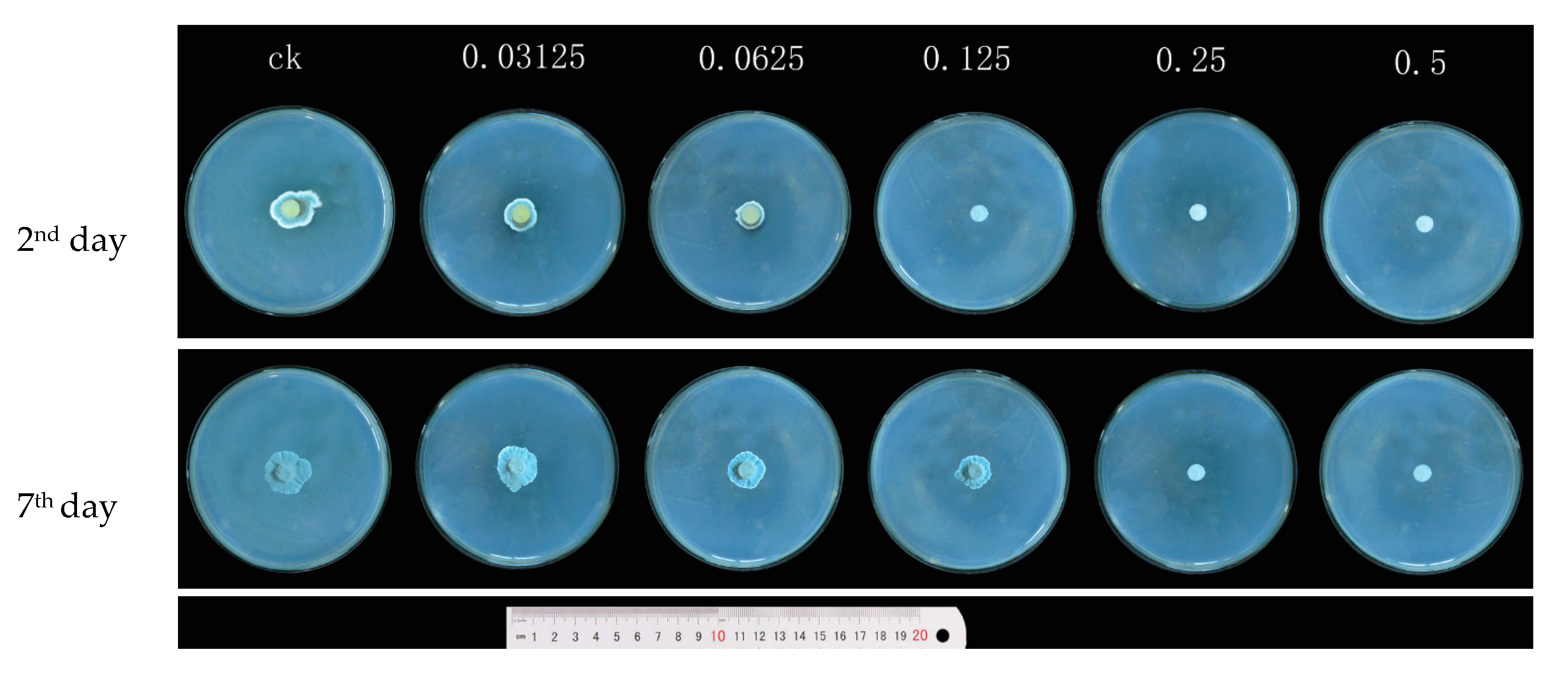 Applsci 09 02240 g002 Applsci 09 02240 g002