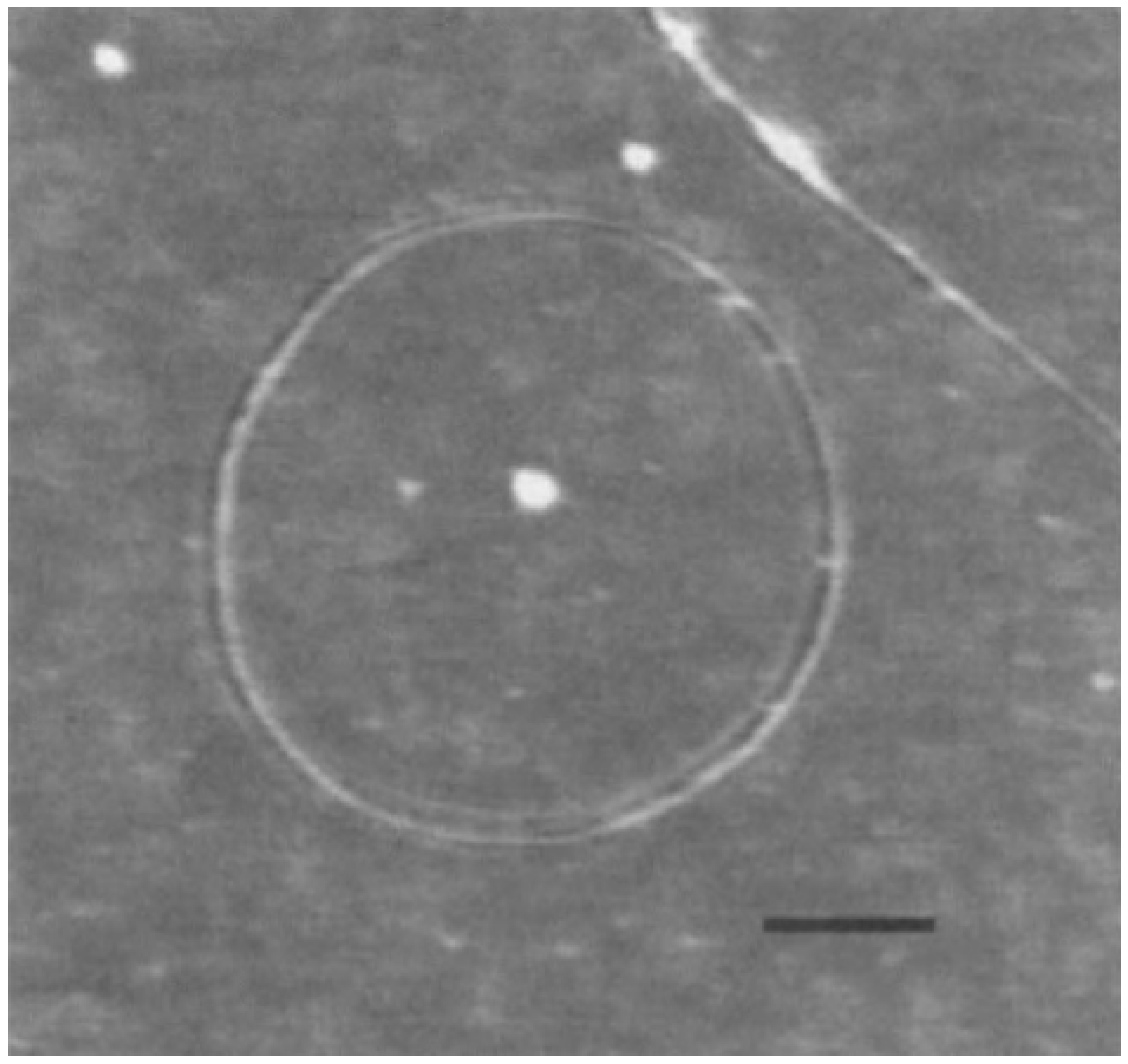 Applsci 09 02301 g002 Applsci 09 02301 g002