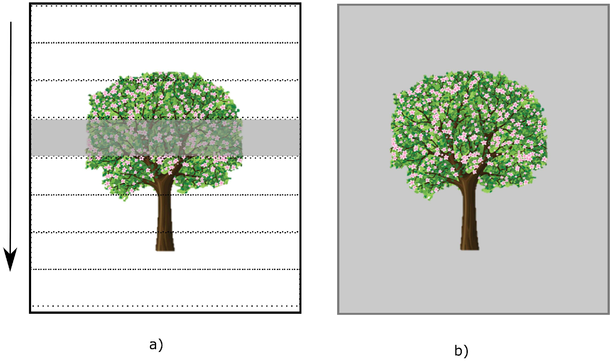 Applsci 09 02382 g004 Applsci 09 02382 g004
