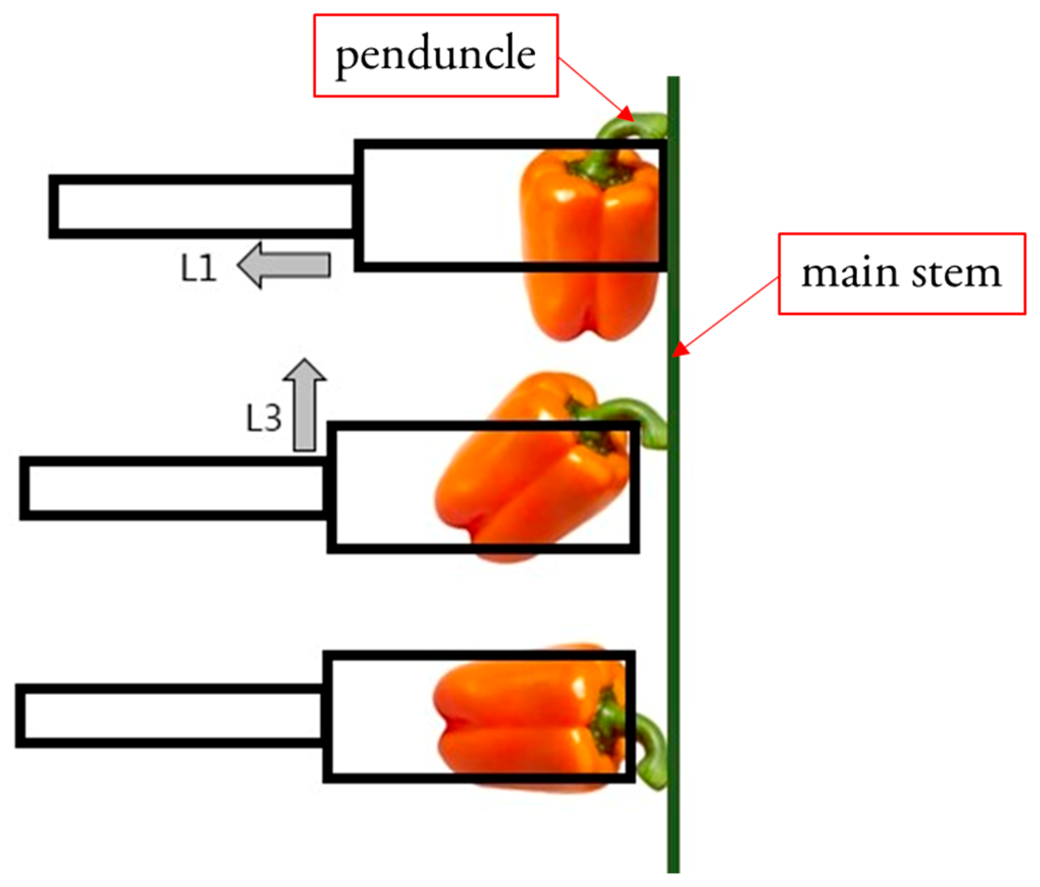 Applsci 09 02395 g012