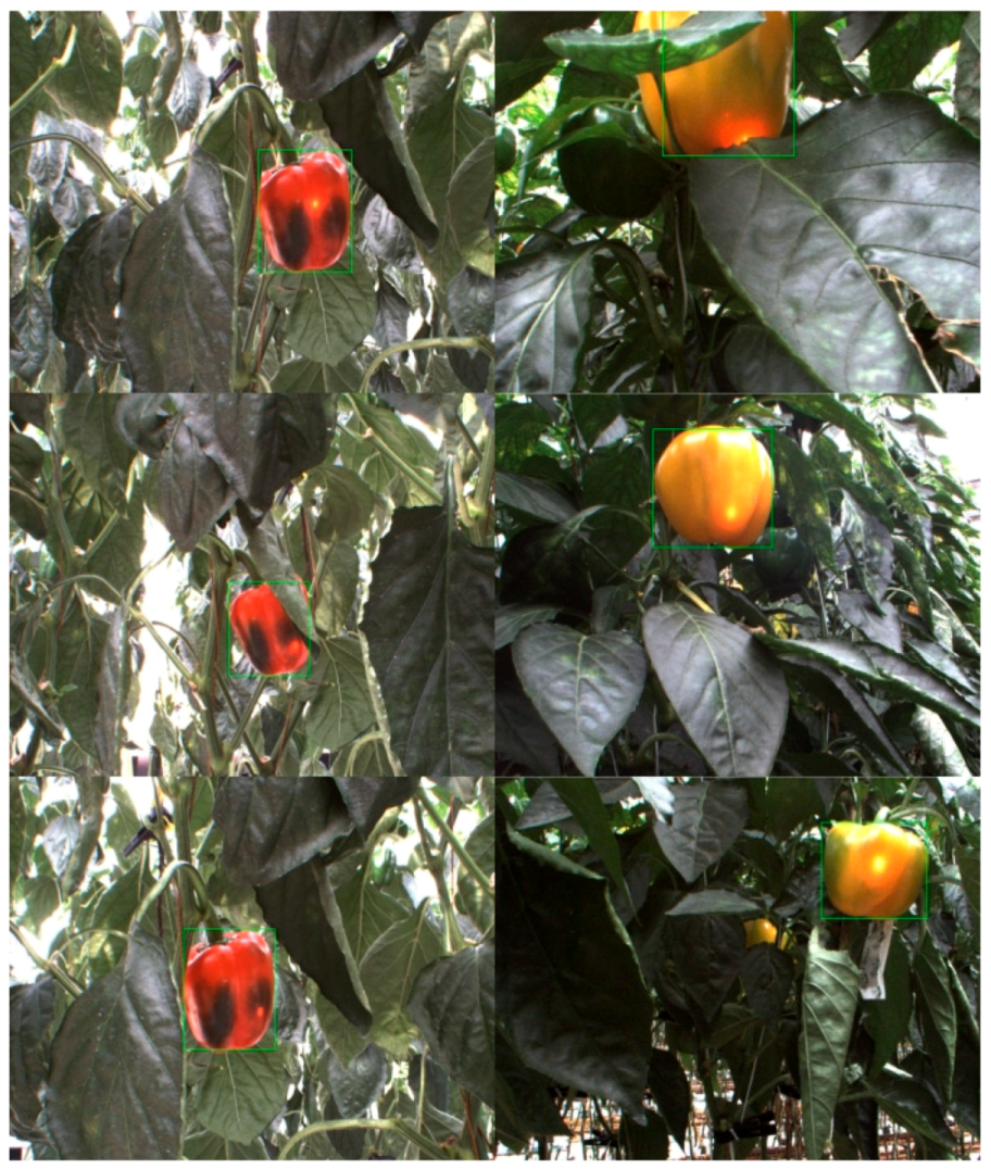 Applsci 09 02395 g018