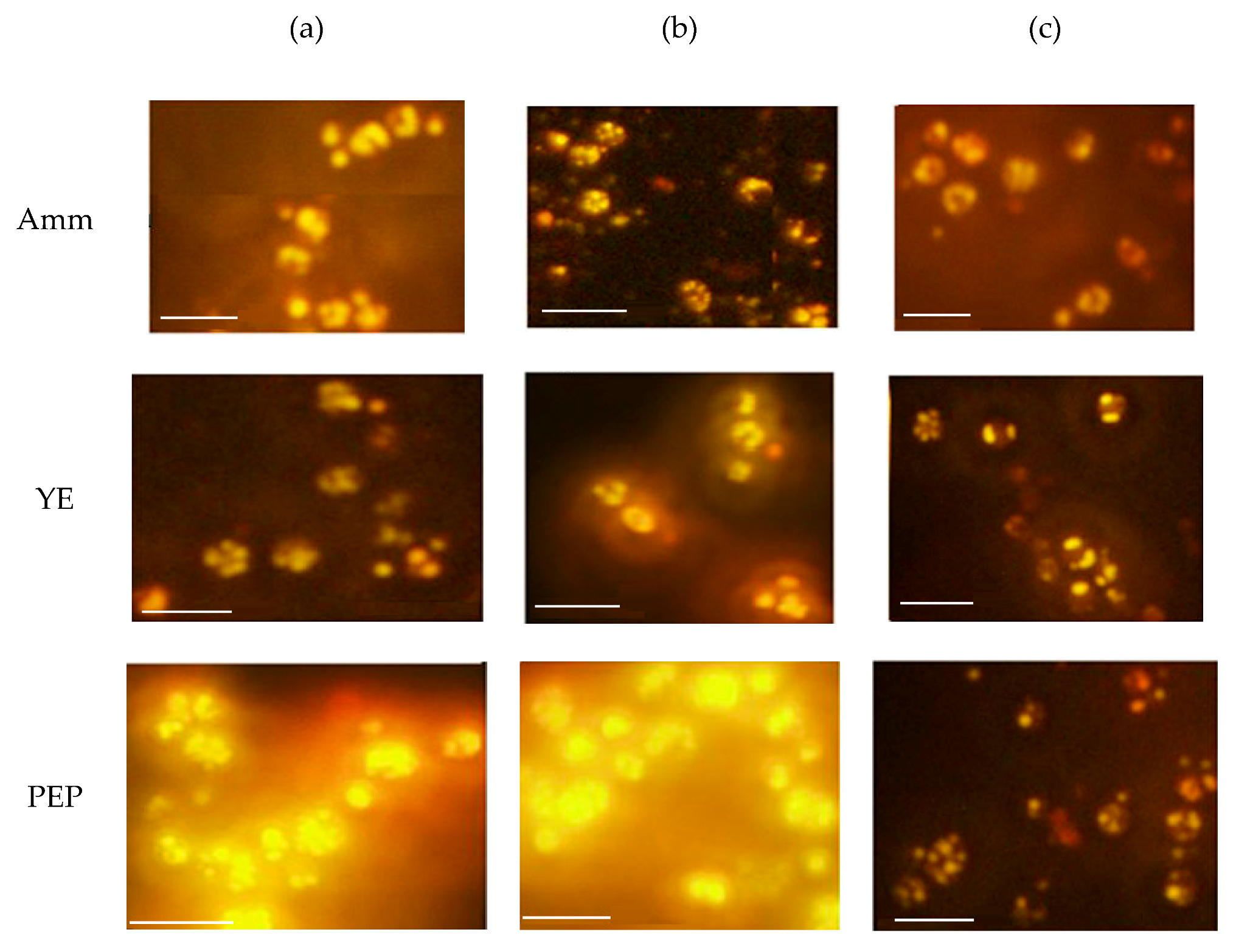 Applsci 09 02444 g001