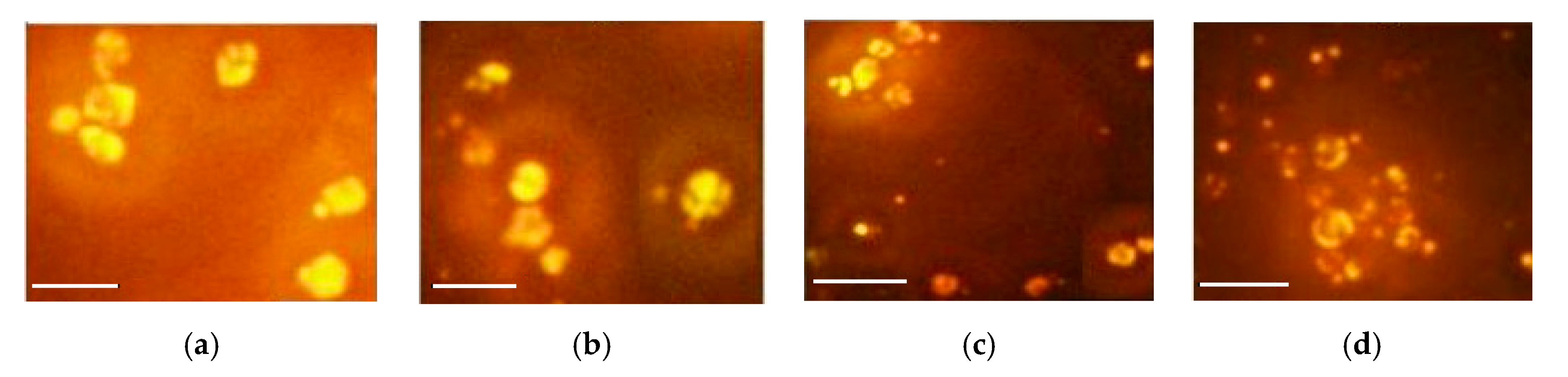 Applsci 09 02444 g002