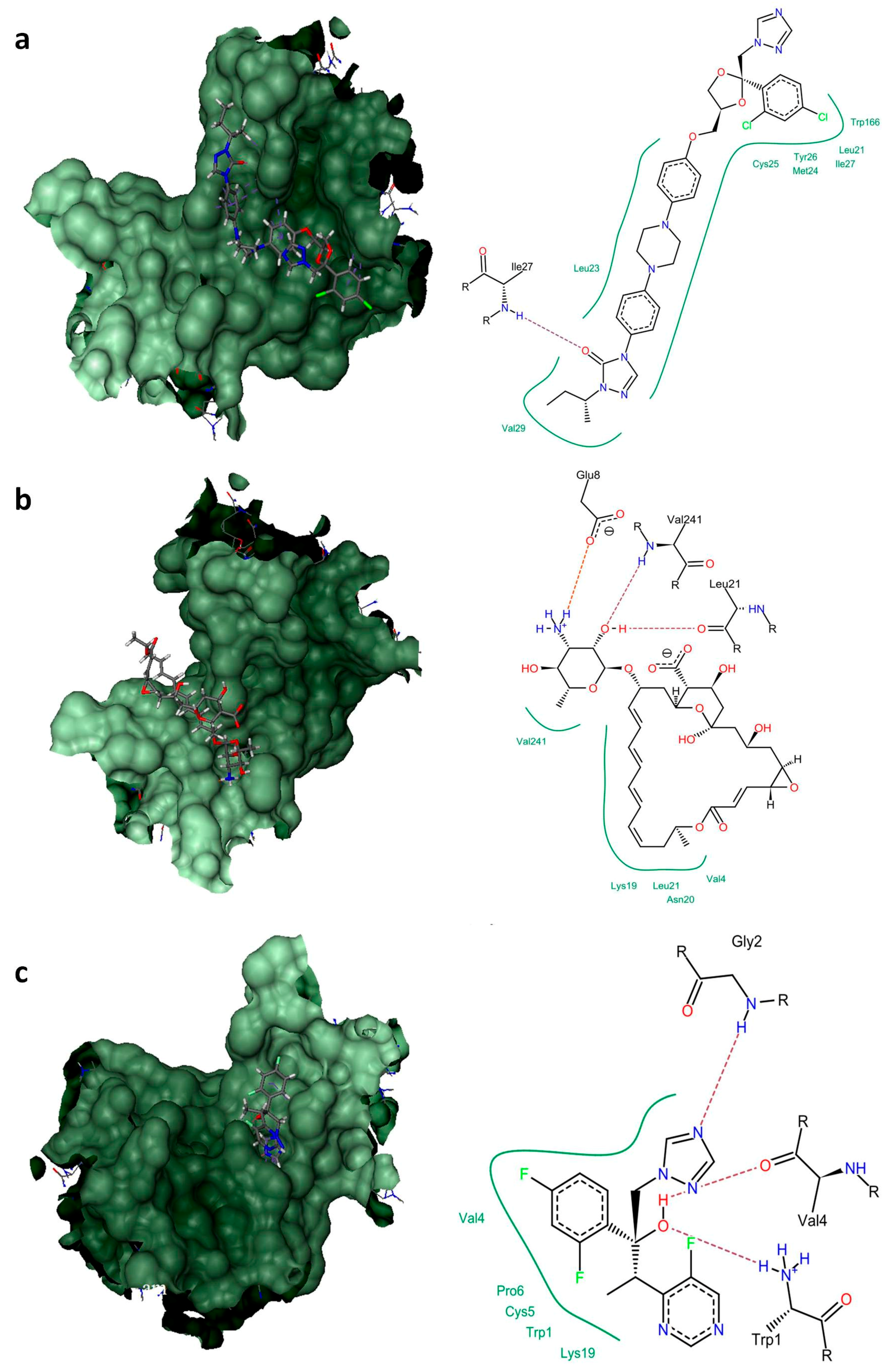 Applsci 09 02485 g005 Applsci 09 02485 g005
