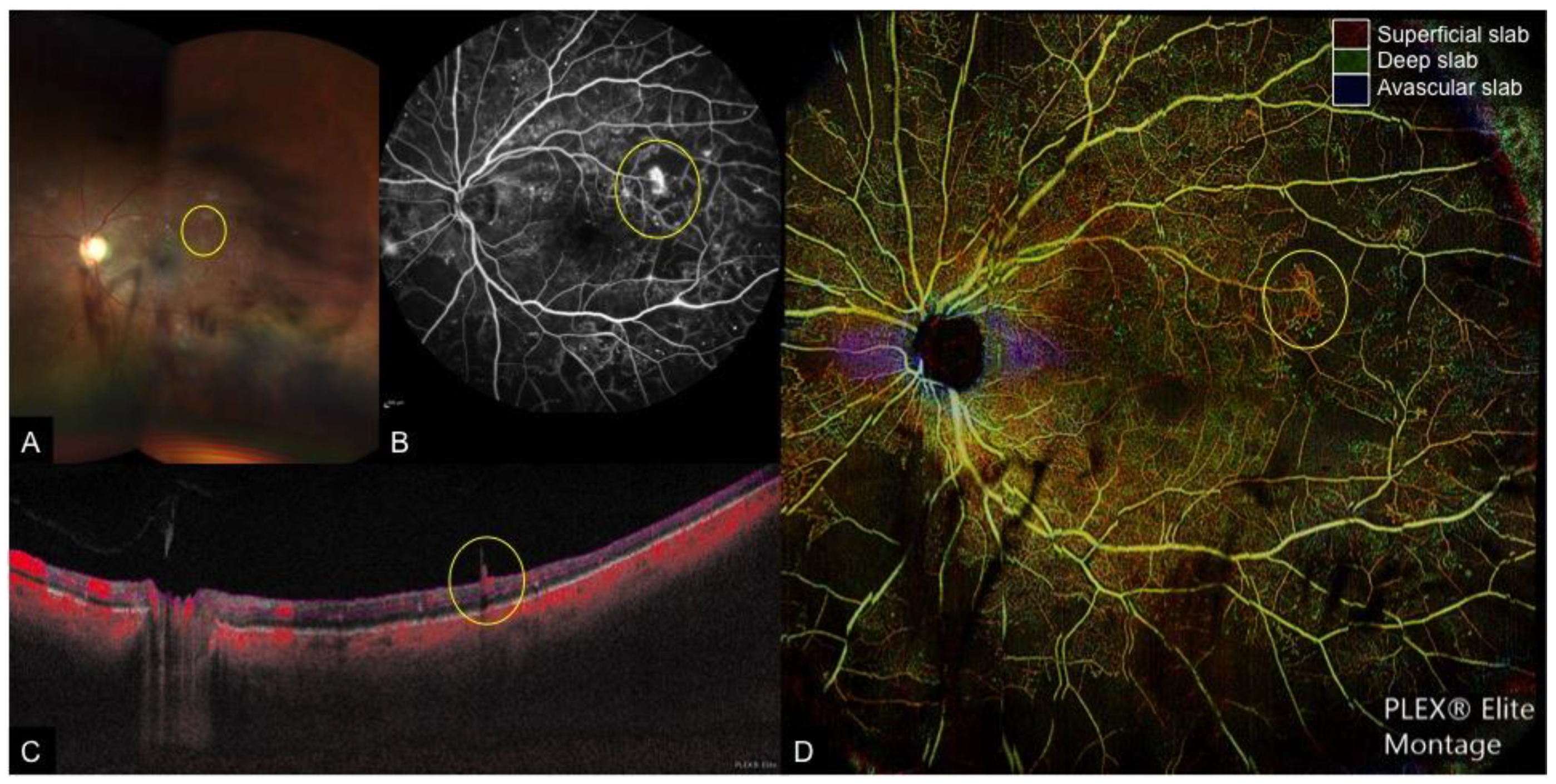 Applsci 09 02577 g001
